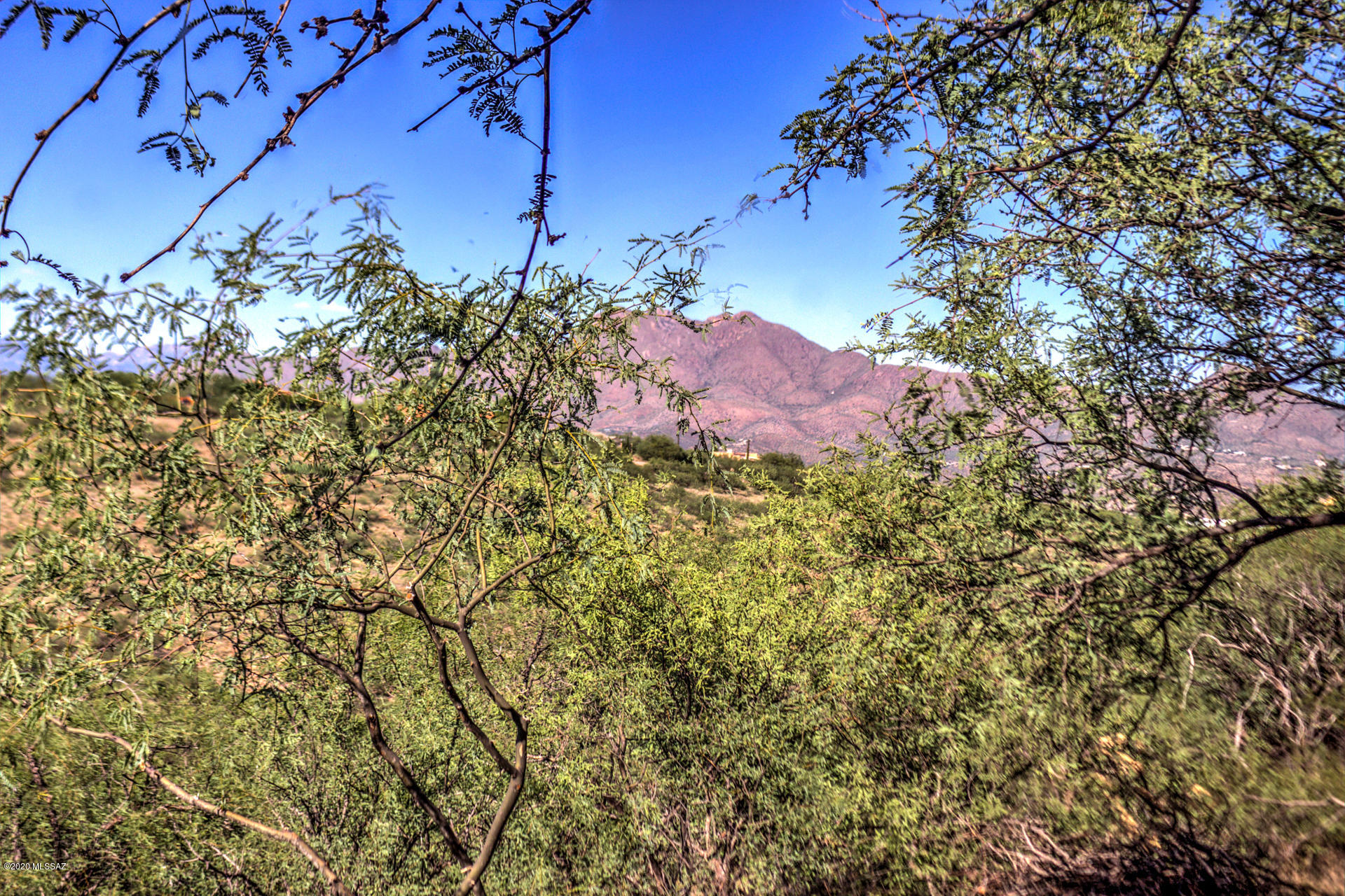 Rio Rico Estates 9 - Residential