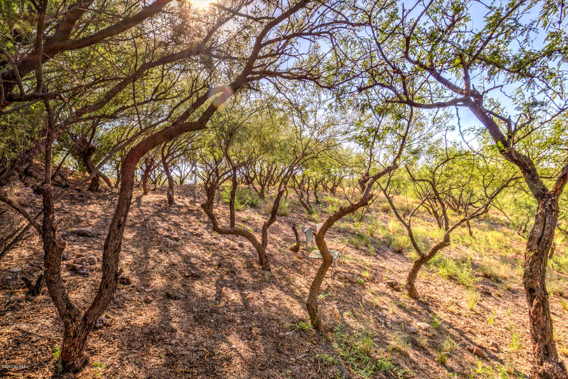 Rio Rico Estates 9 - Residential