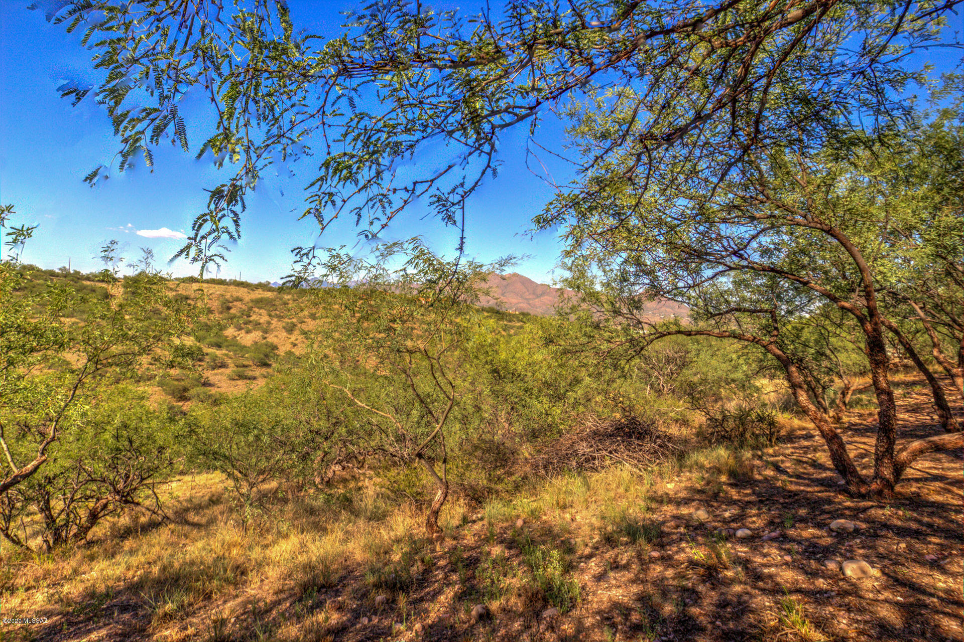 Rio Rico Estates 9 - Residential