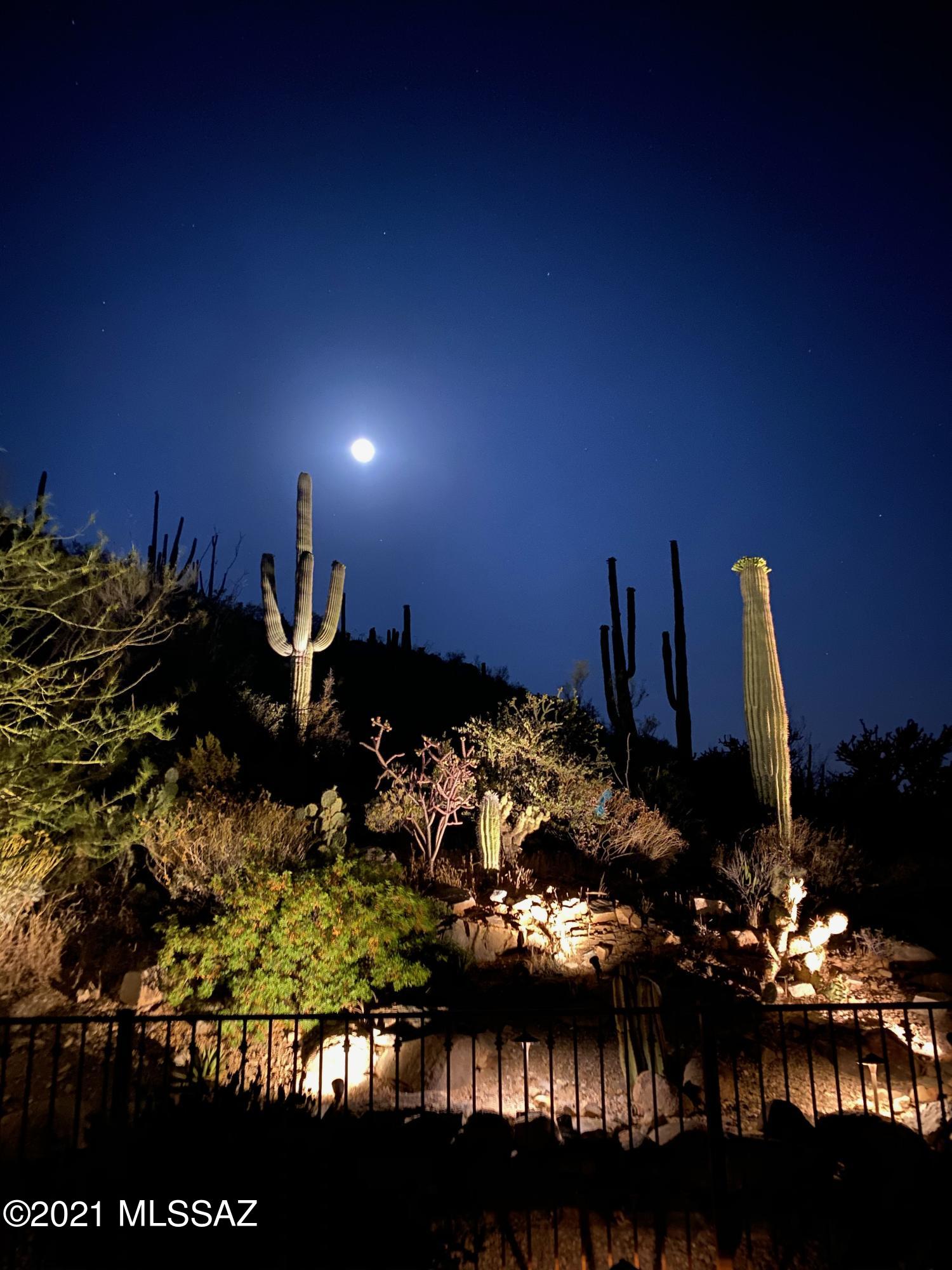 Canyon Pass At Dove Mountain(1-48) - Residential
