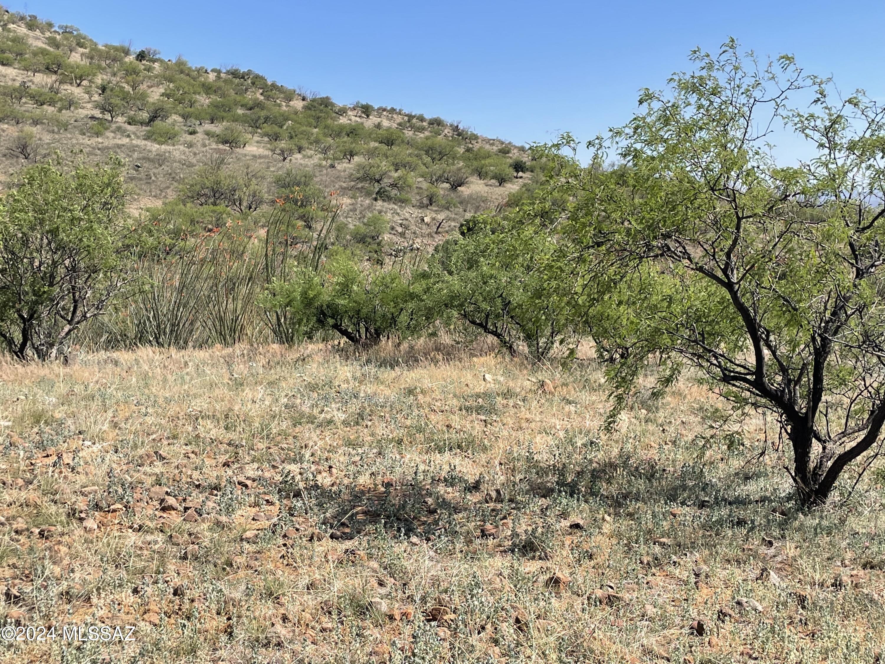 Salero Ranch - Land