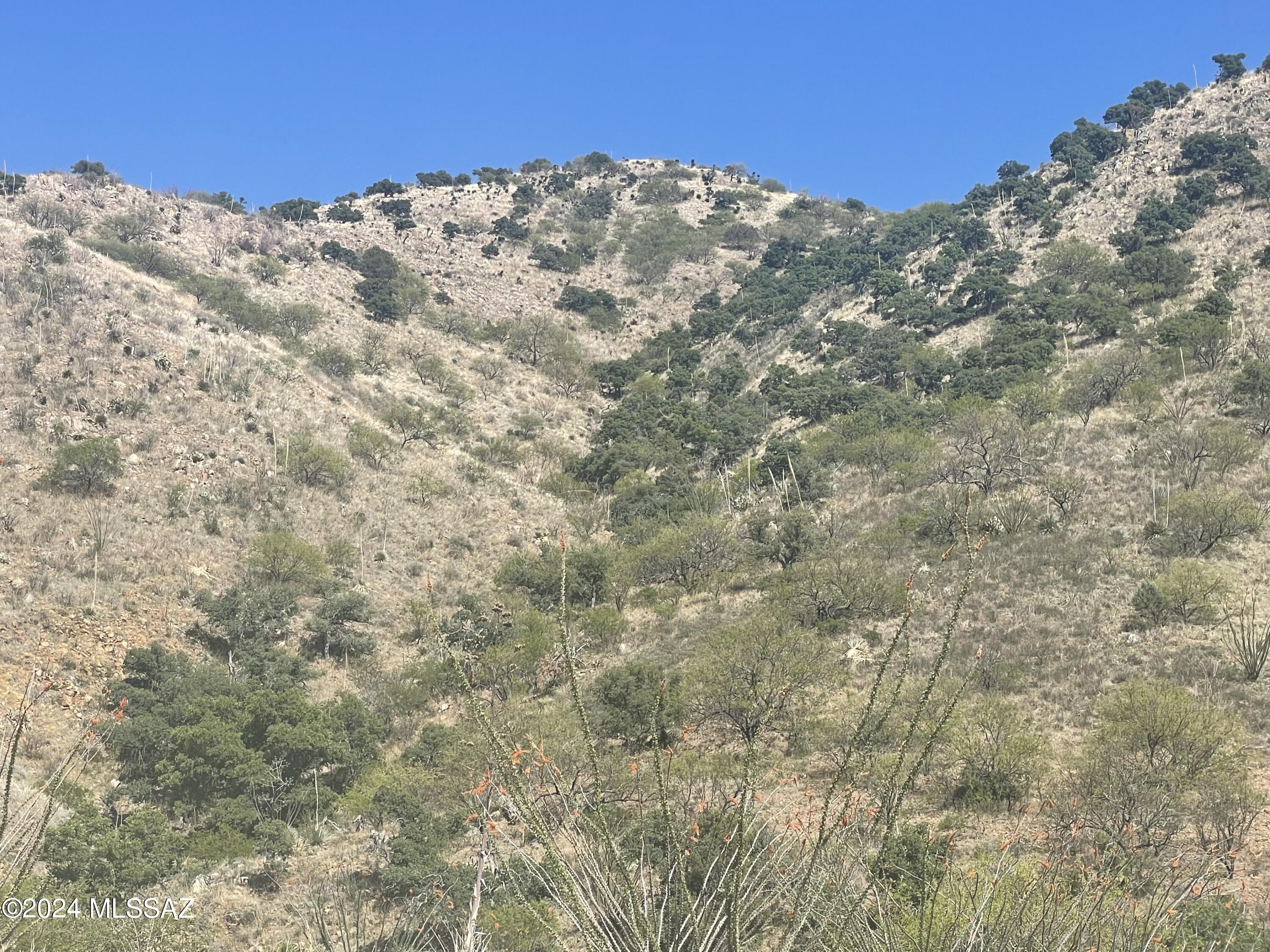 Salero Ranch - Land