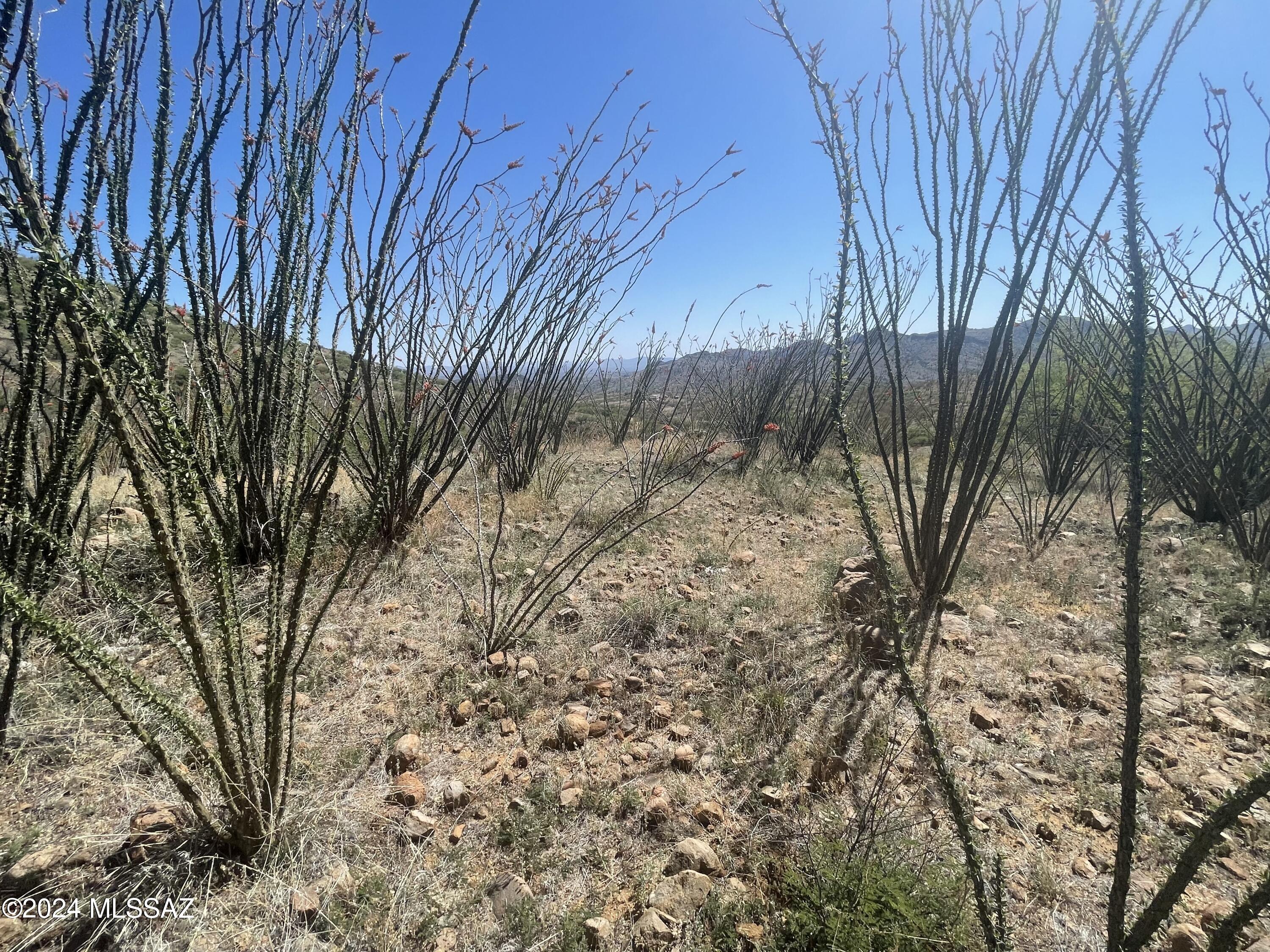 Salero Ranch - Land