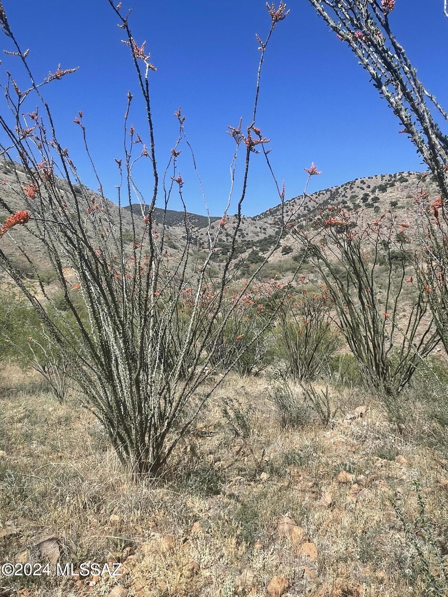 Salero Ranch - Land