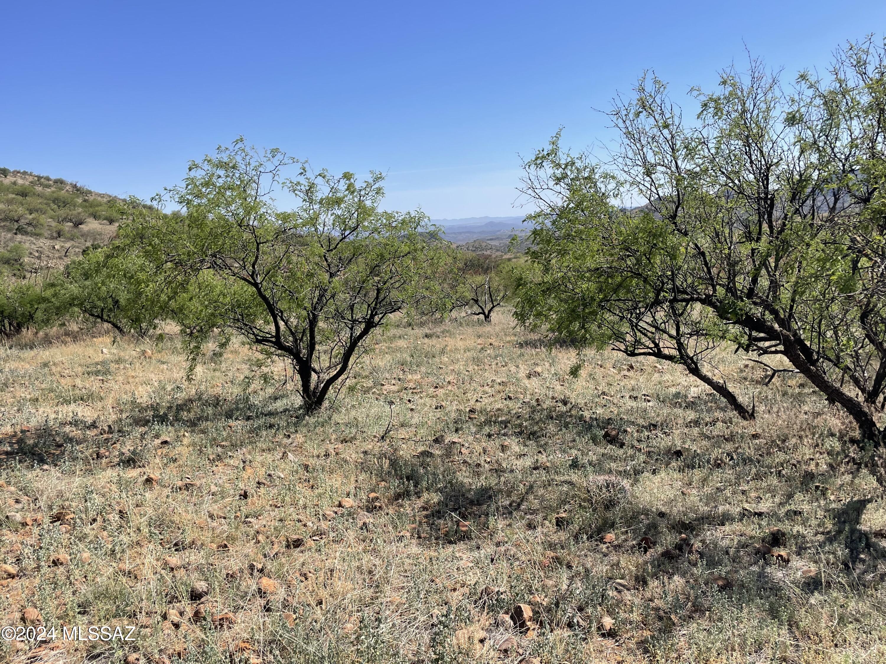 Salero Ranch - Land