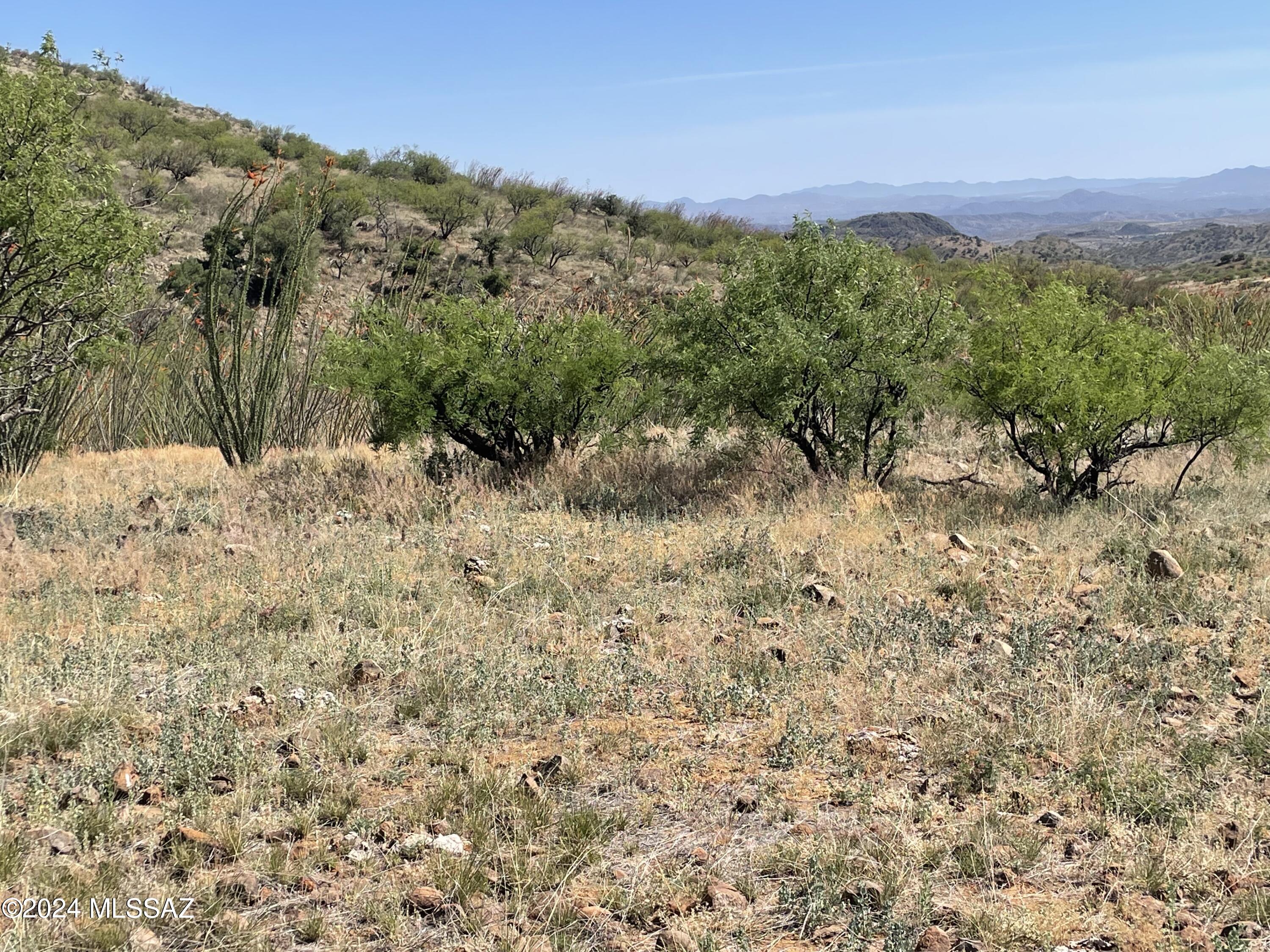 Salero Ranch - Land