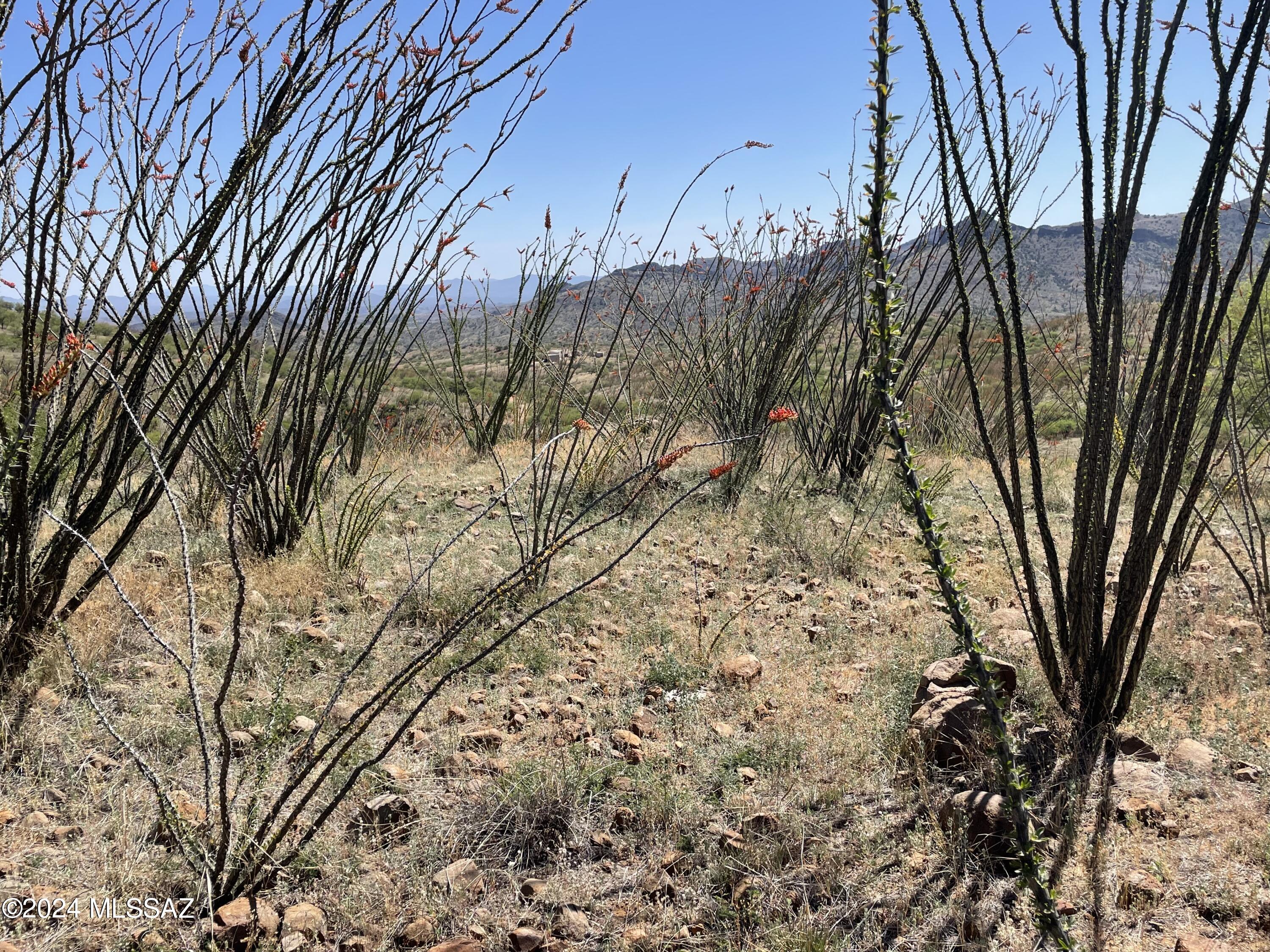 Salero Ranch - Land