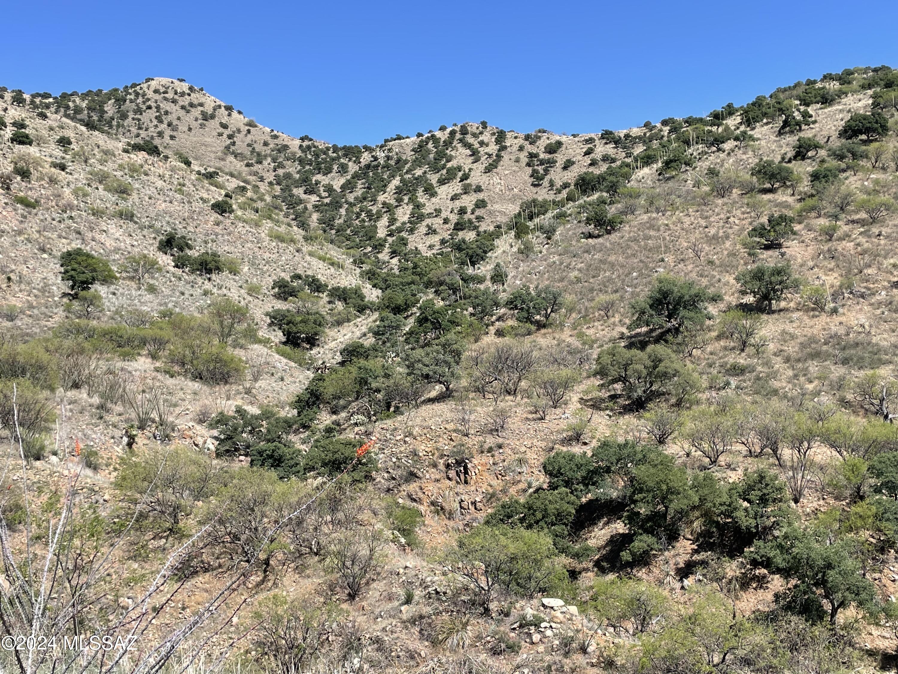 Salero Ranch - Land