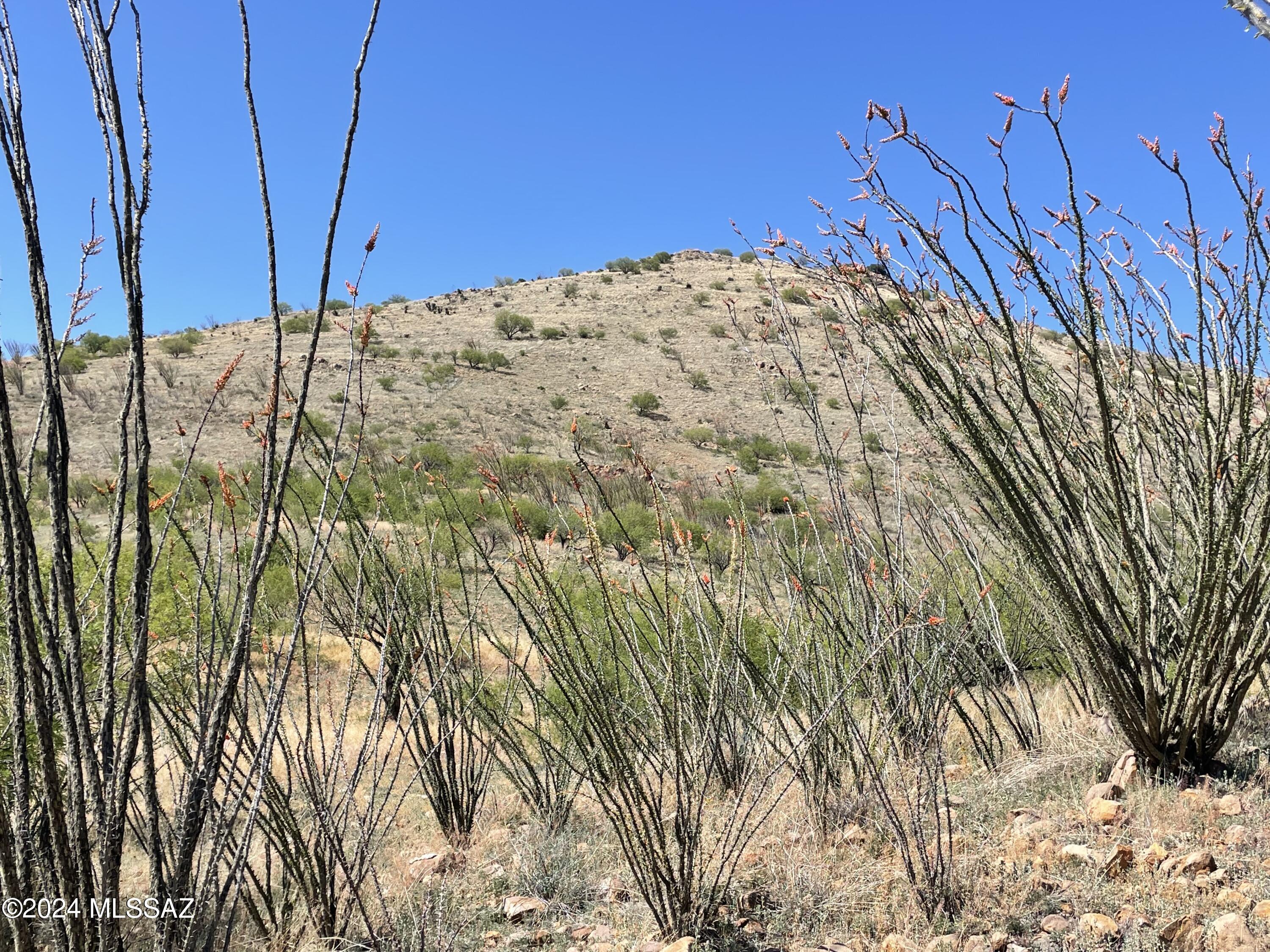 Salero Ranch - Land