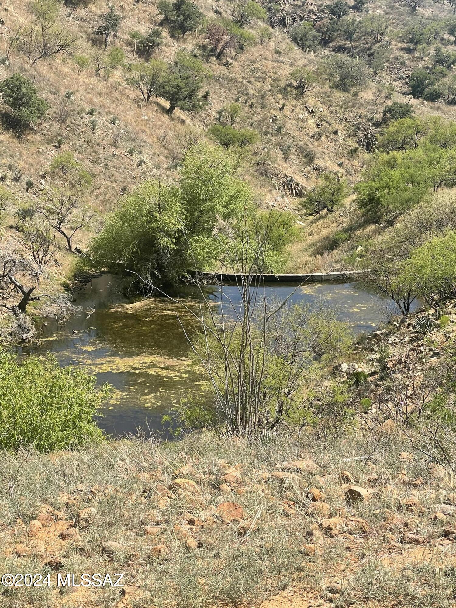 Salero Ranch - Land