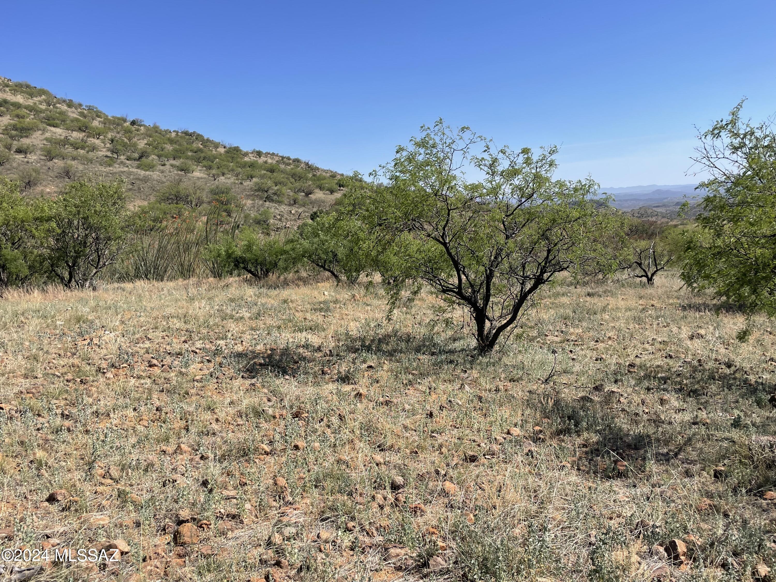 Salero Ranch - Land