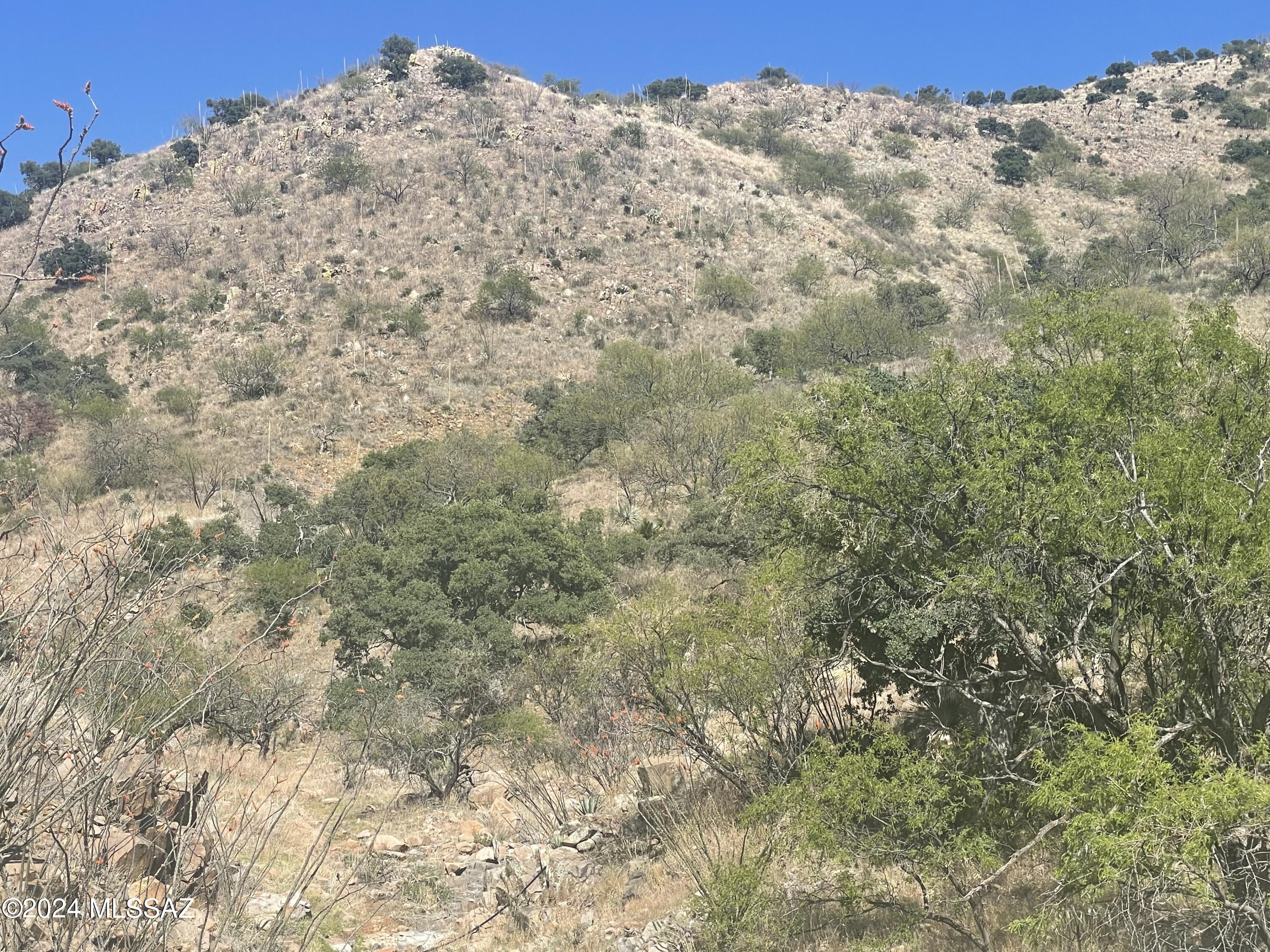 Salero Ranch - Land