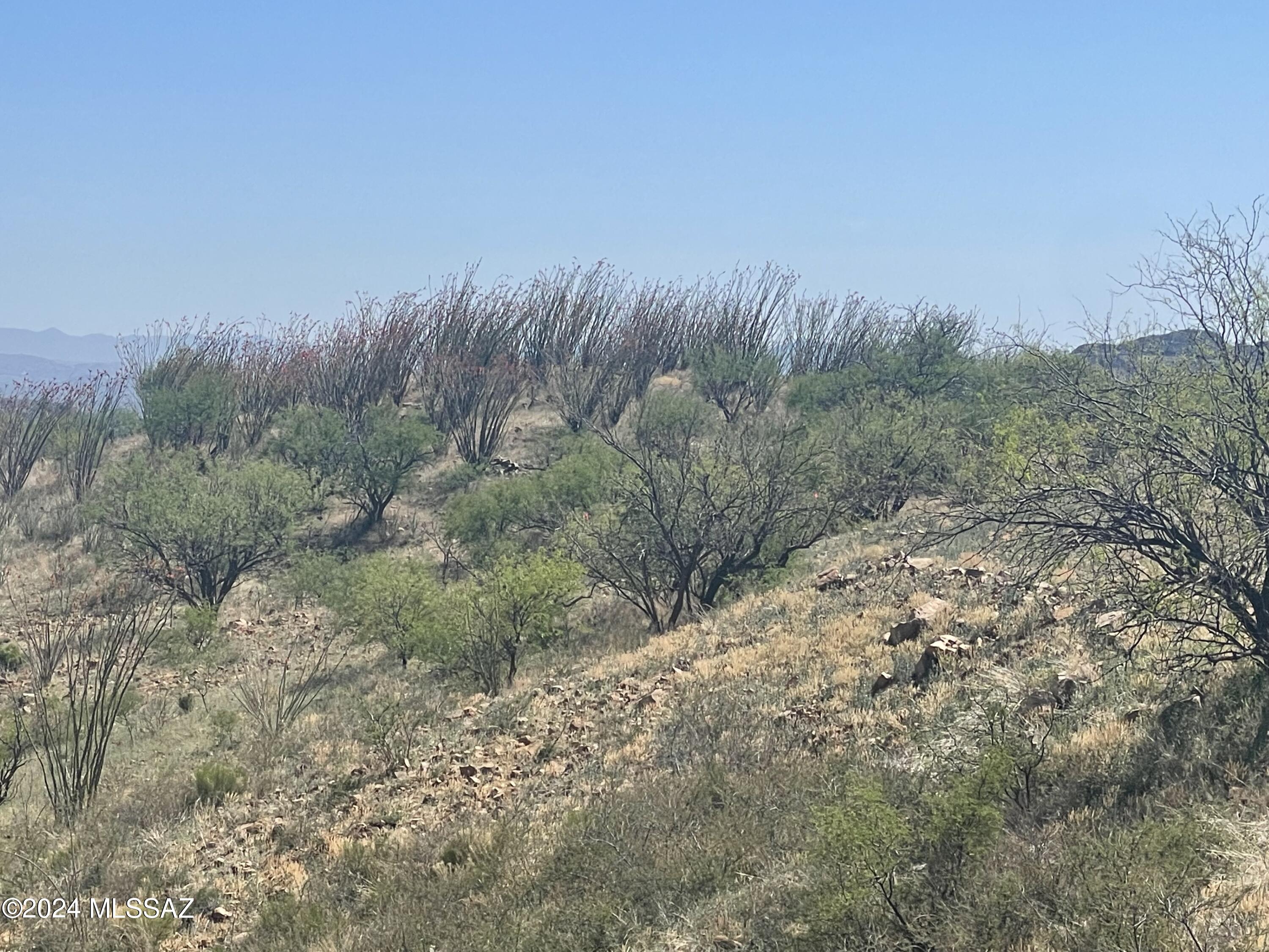 Salero Ranch - Land