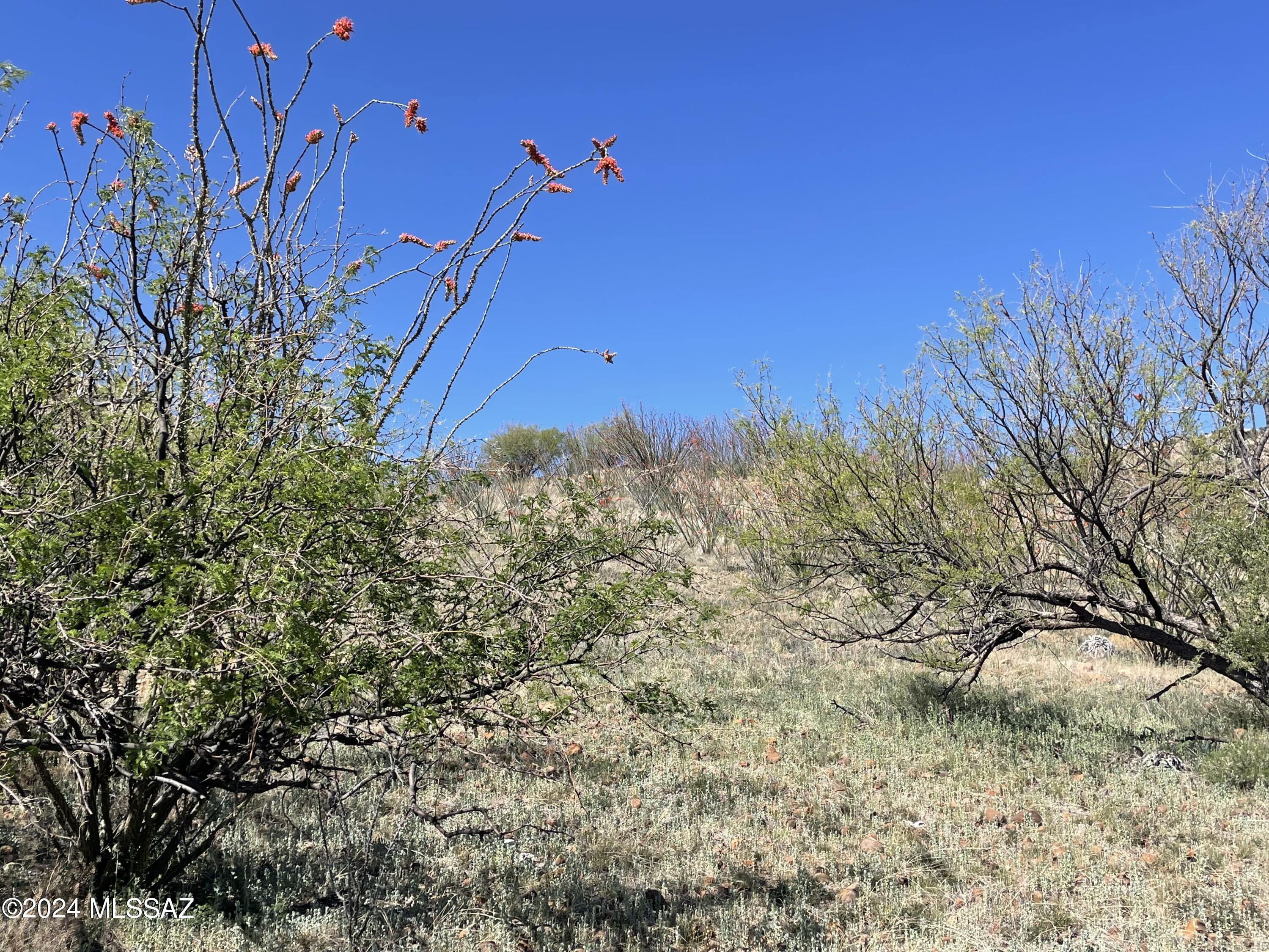 Salero Ranch - Land