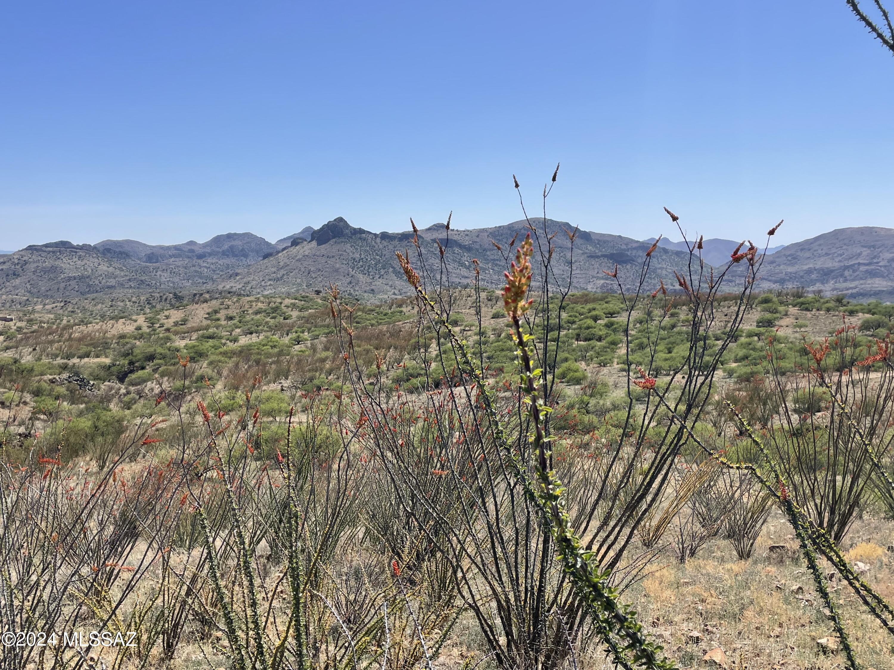 Salero Ranch - Land