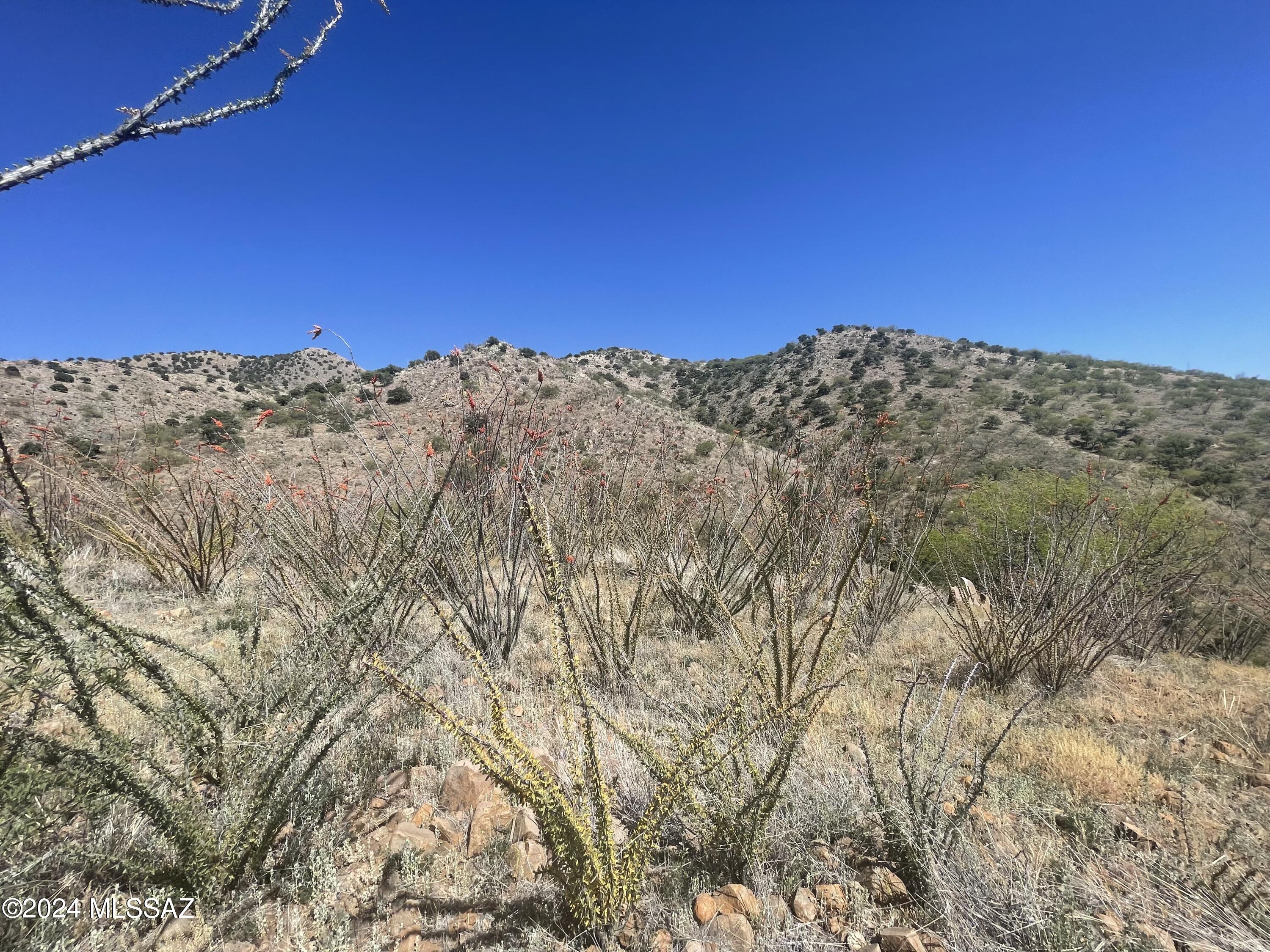 Salero Ranch - Land