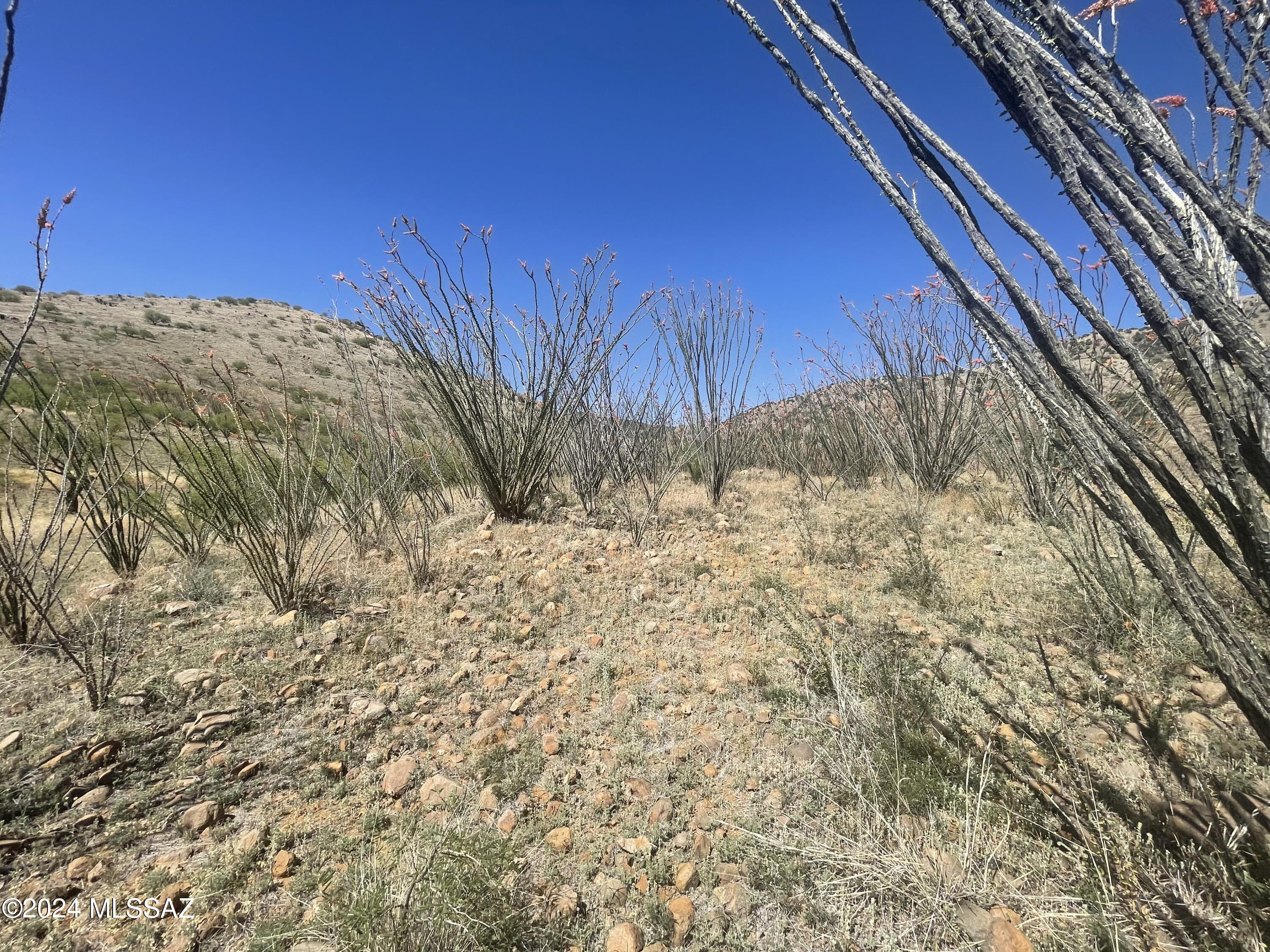 Salero Ranch - Land
