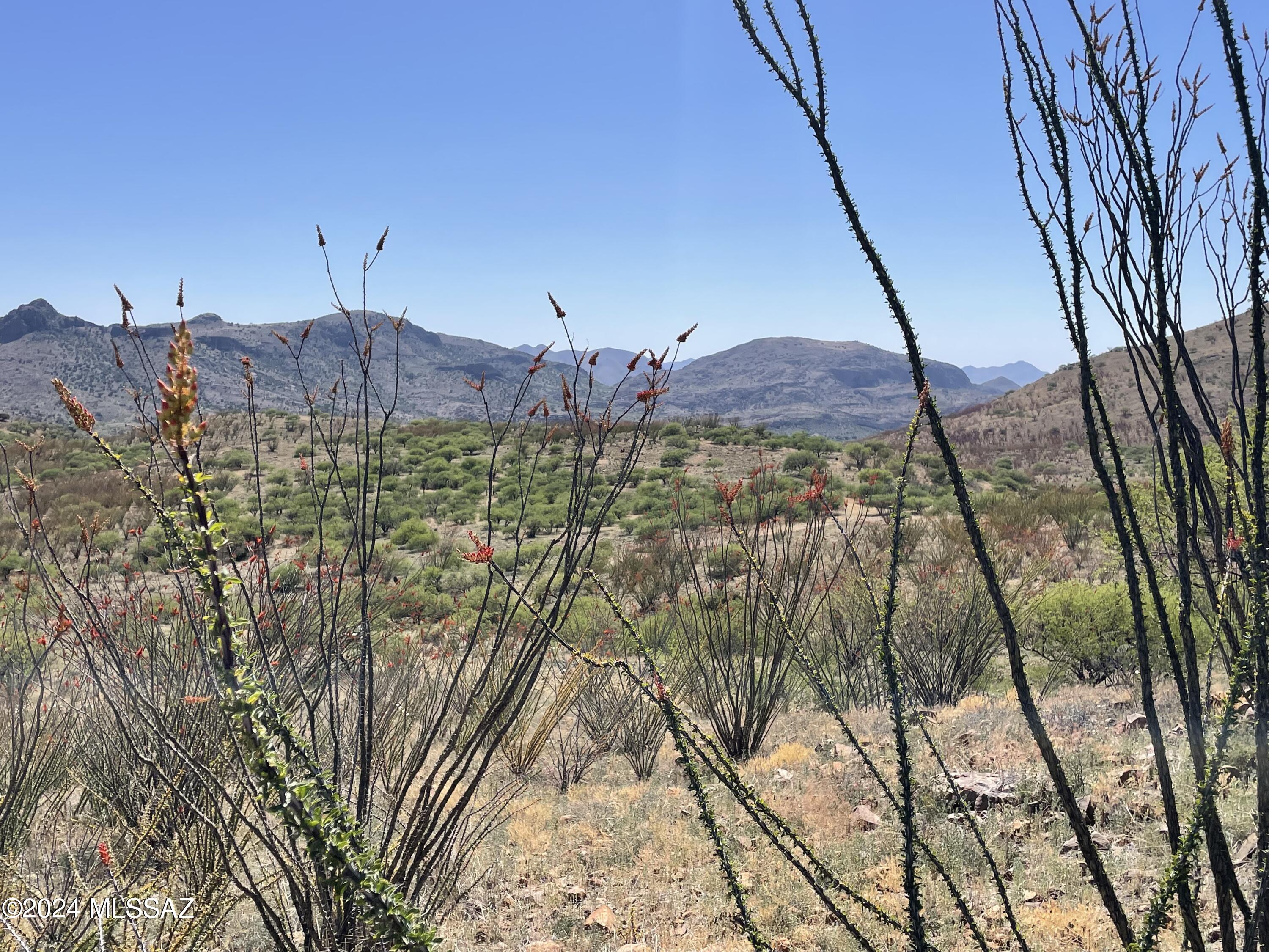 Salero Ranch - Land