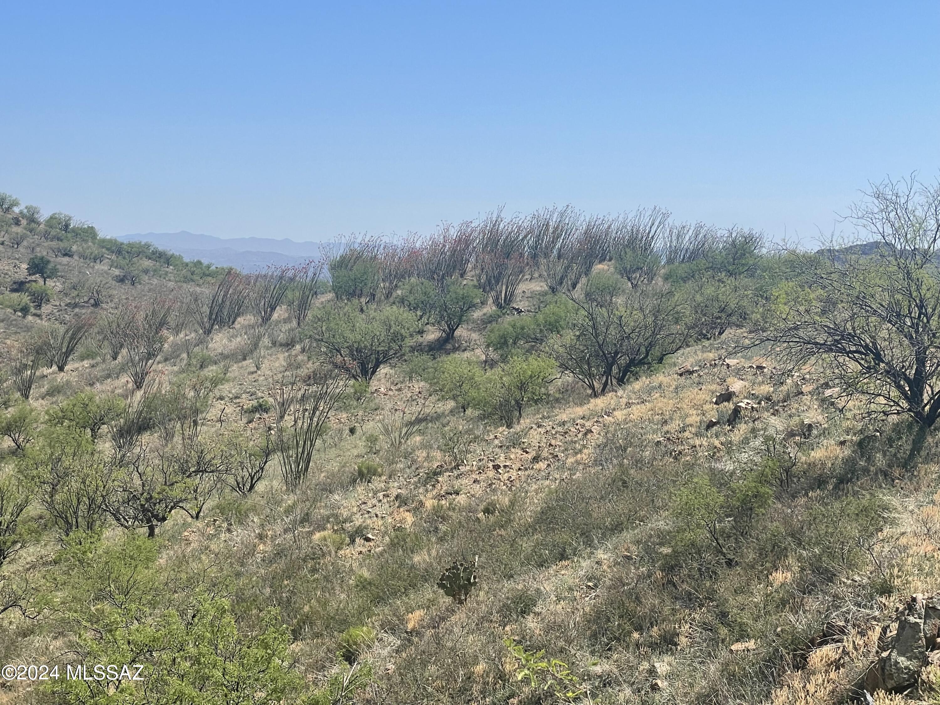 Salero Ranch - Land