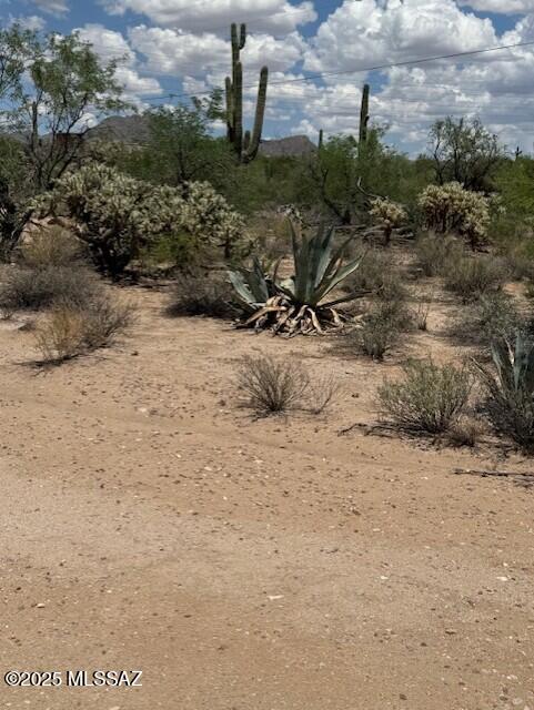 5315 W Tangerine Road