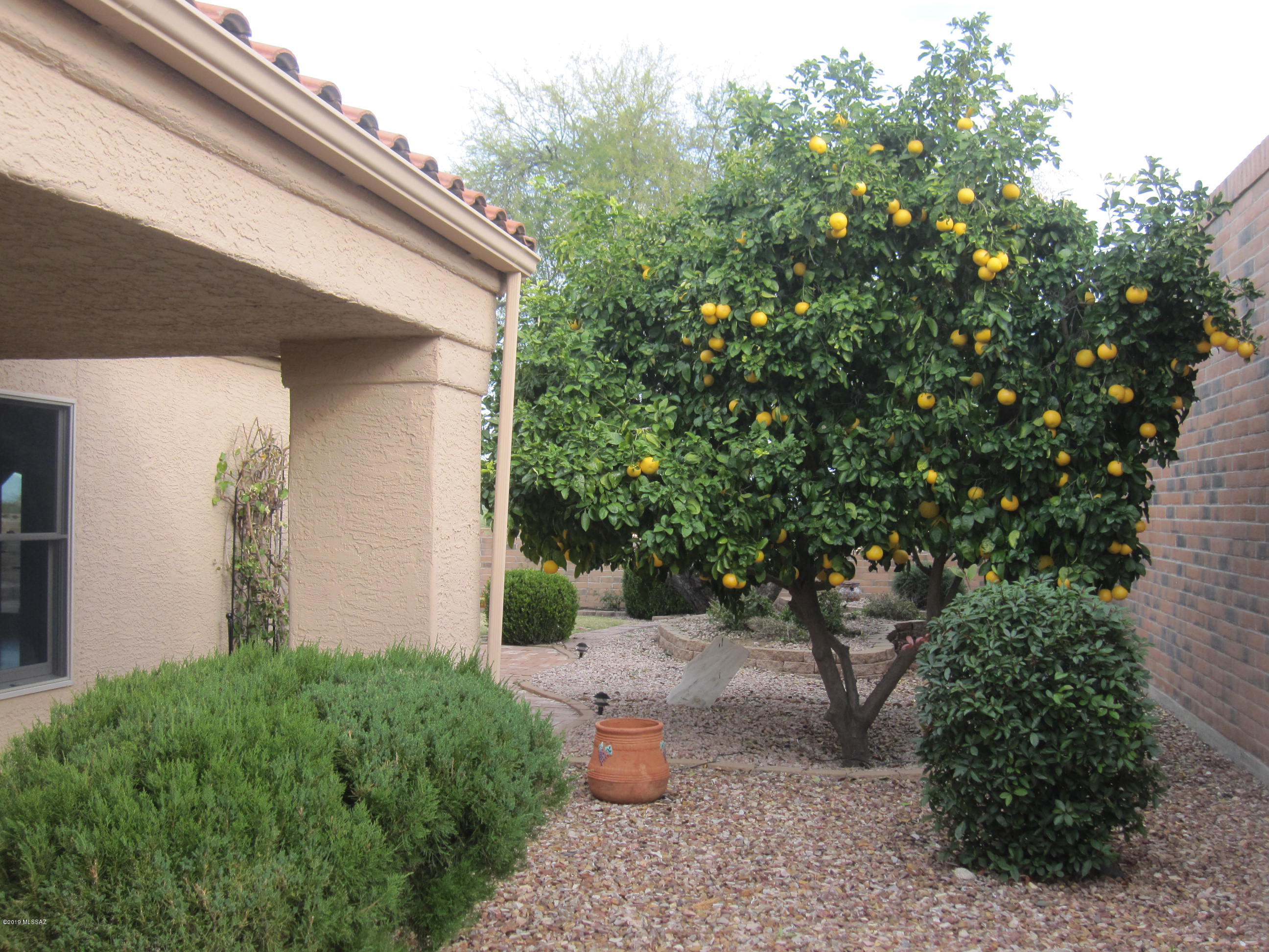 Colonia De Los Alamos - Viewpoint - Residential