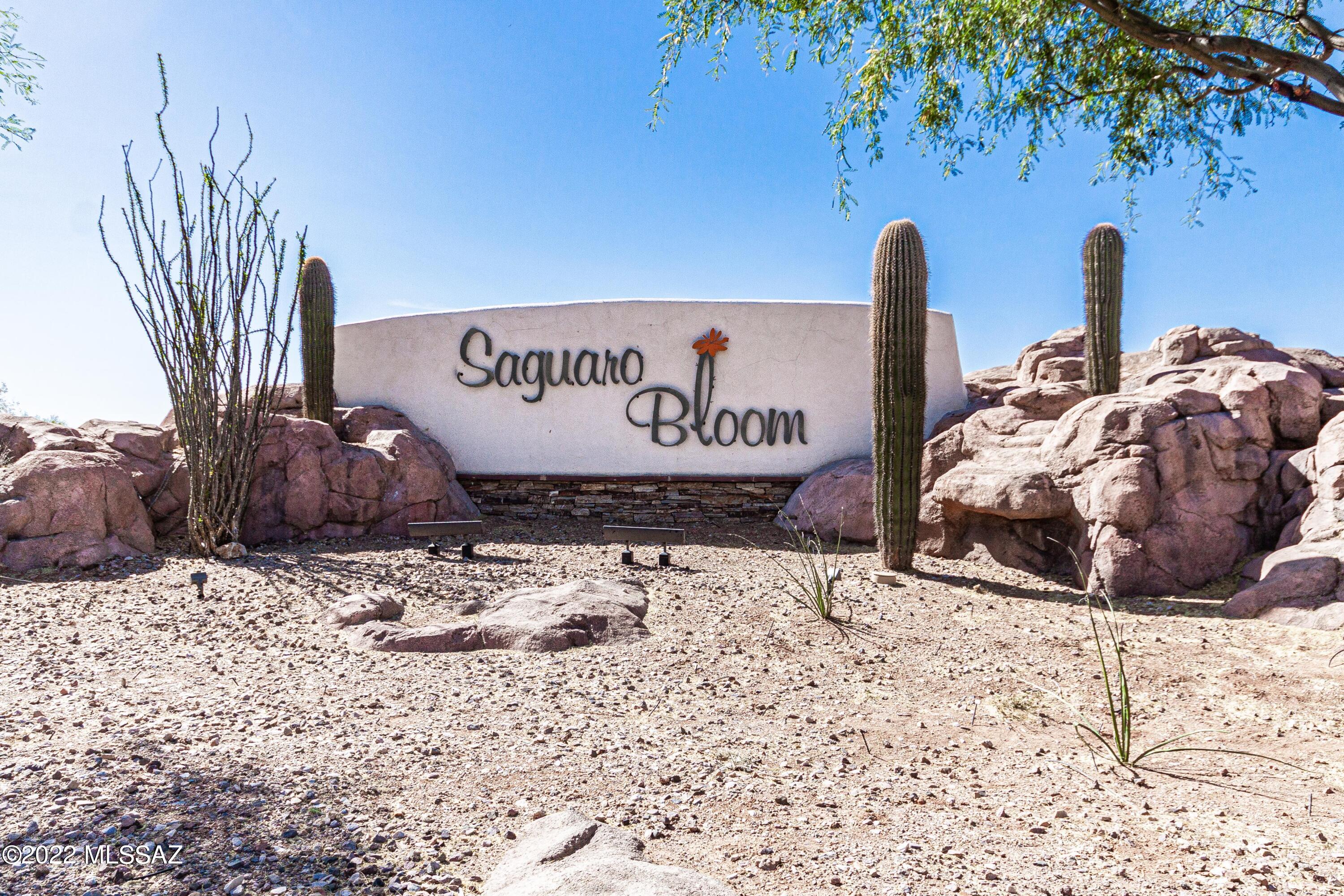 Saguaro Springs Block 8B (131-399) - Residential