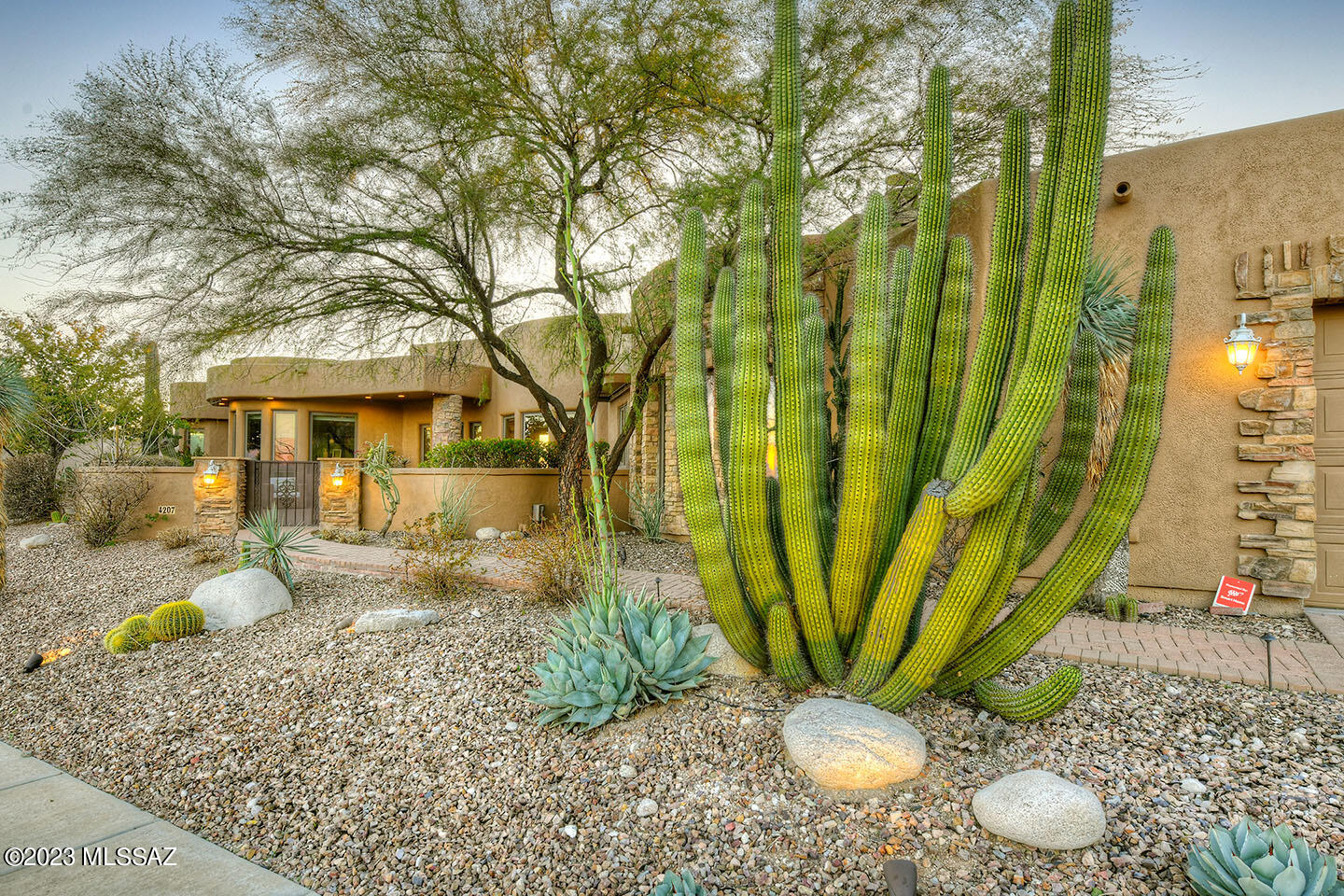 Sabino Mountain (1-290) - Residential
