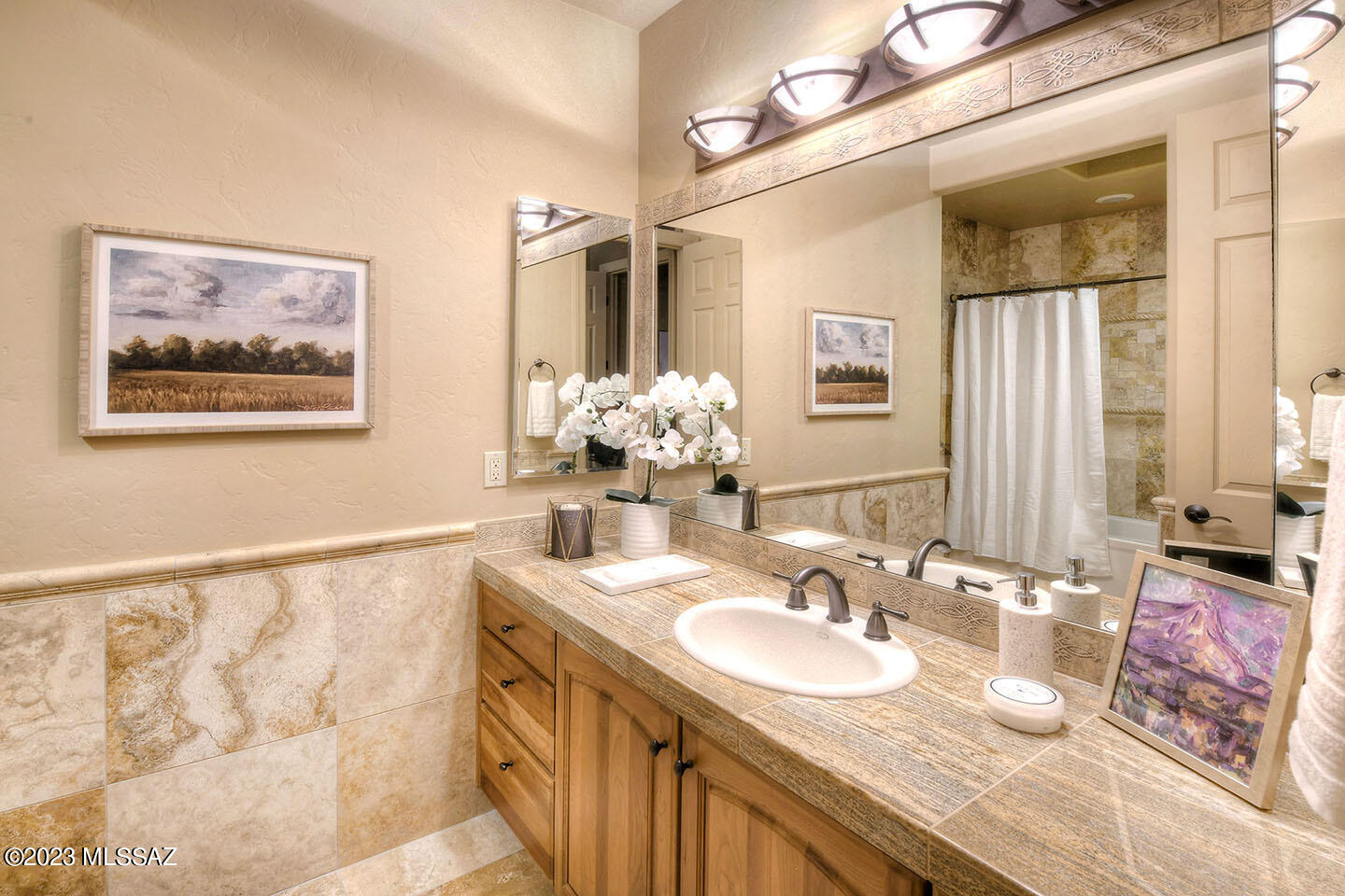 Sabino Mountain (1-290) - Residential