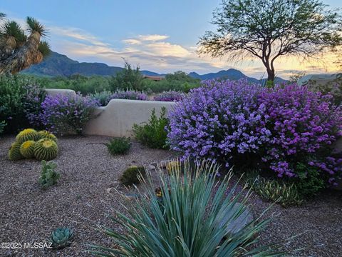 A home in Tubac