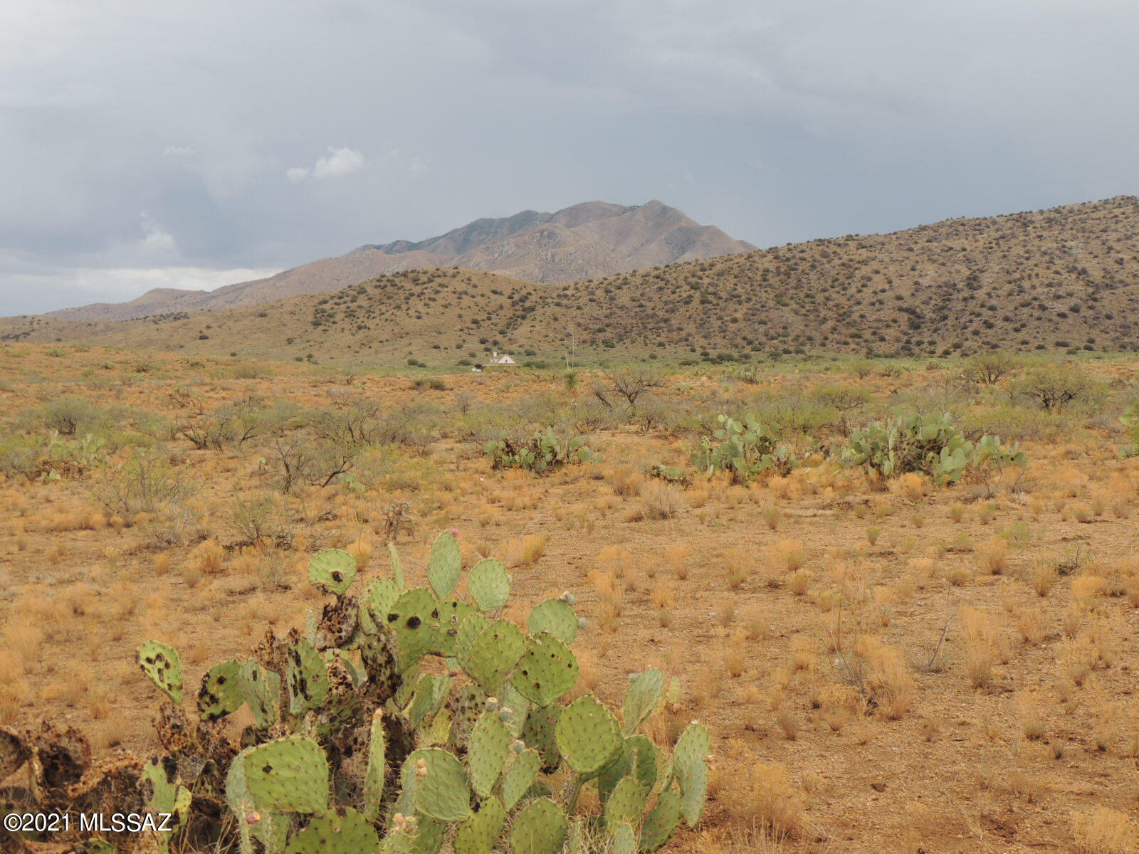 Out Of Pima County - Land