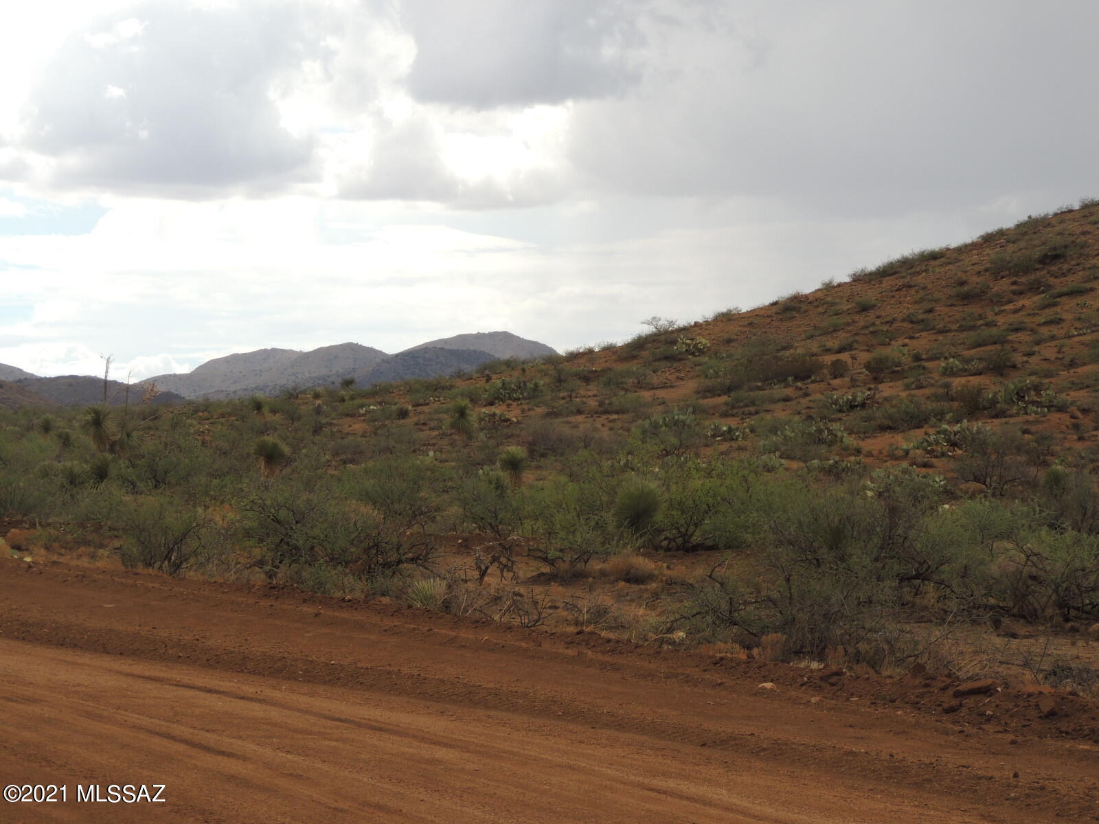 Out Of Pima County - Land