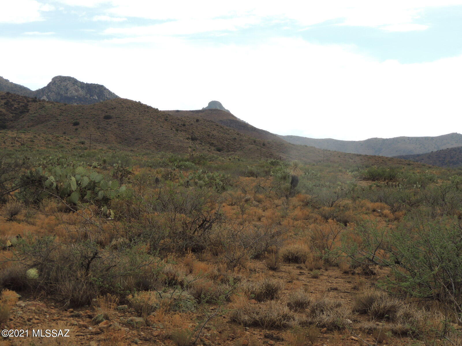 Out Of Pima County - Land