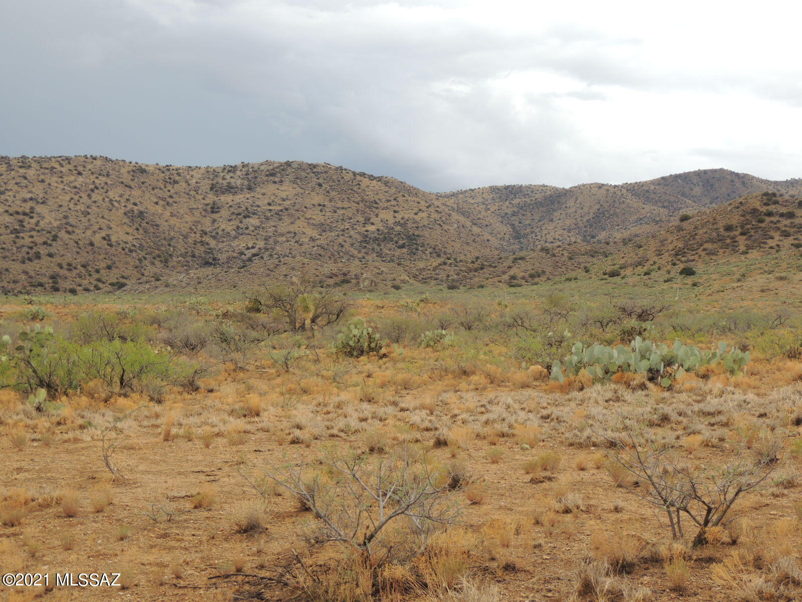 Out Of Pima County - Land