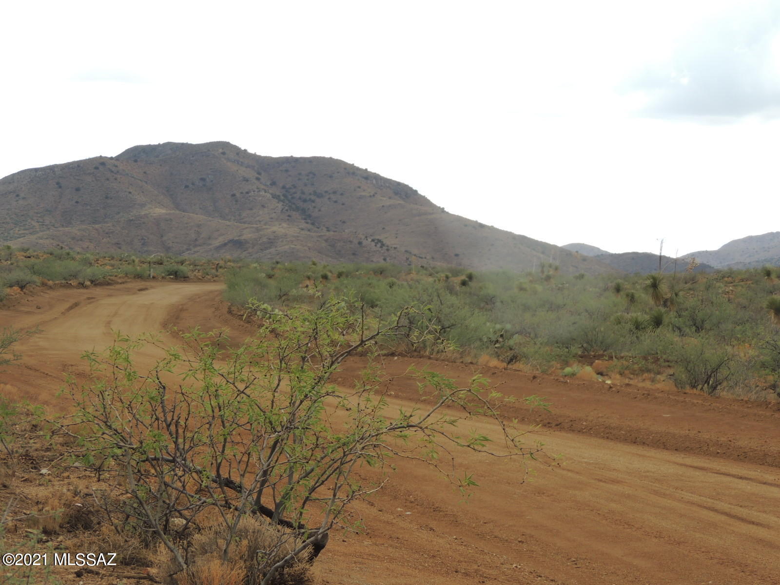 Out Of Pima County - Land