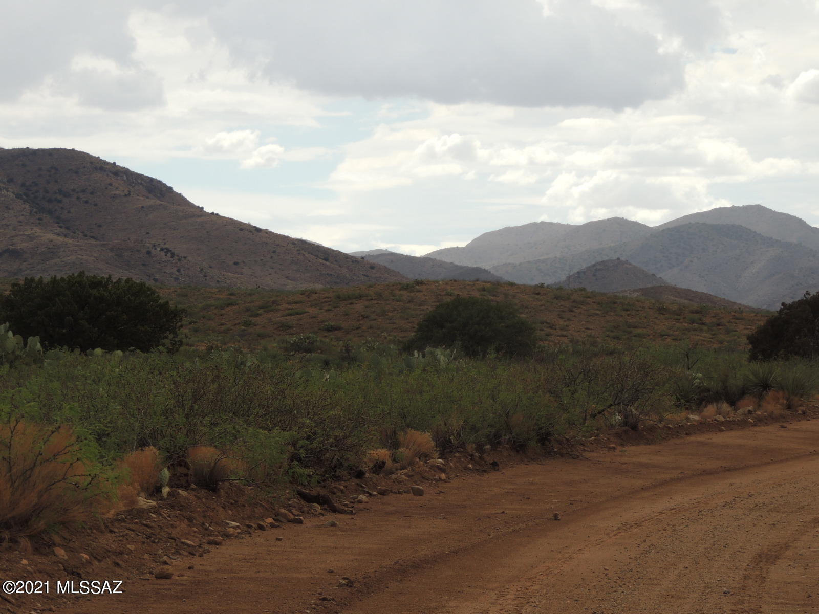 Out Of Pima County - Land