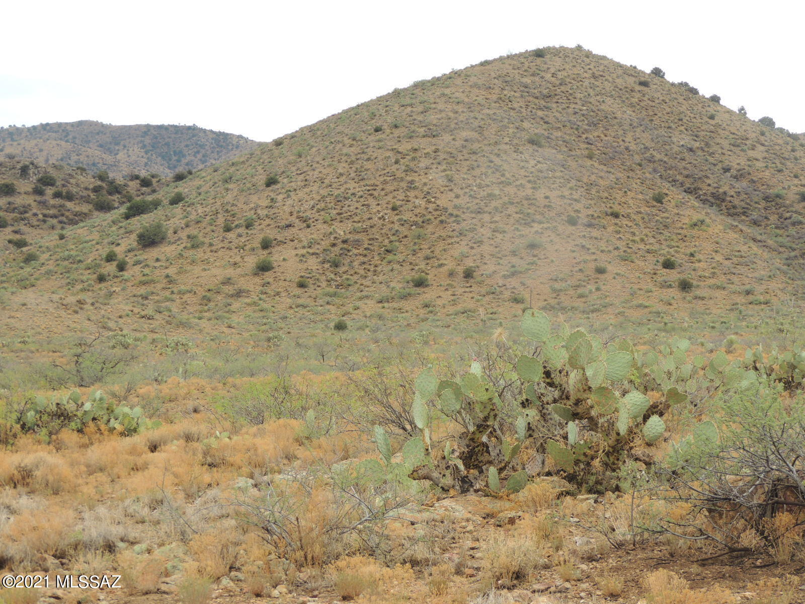Out Of Pima County - Land