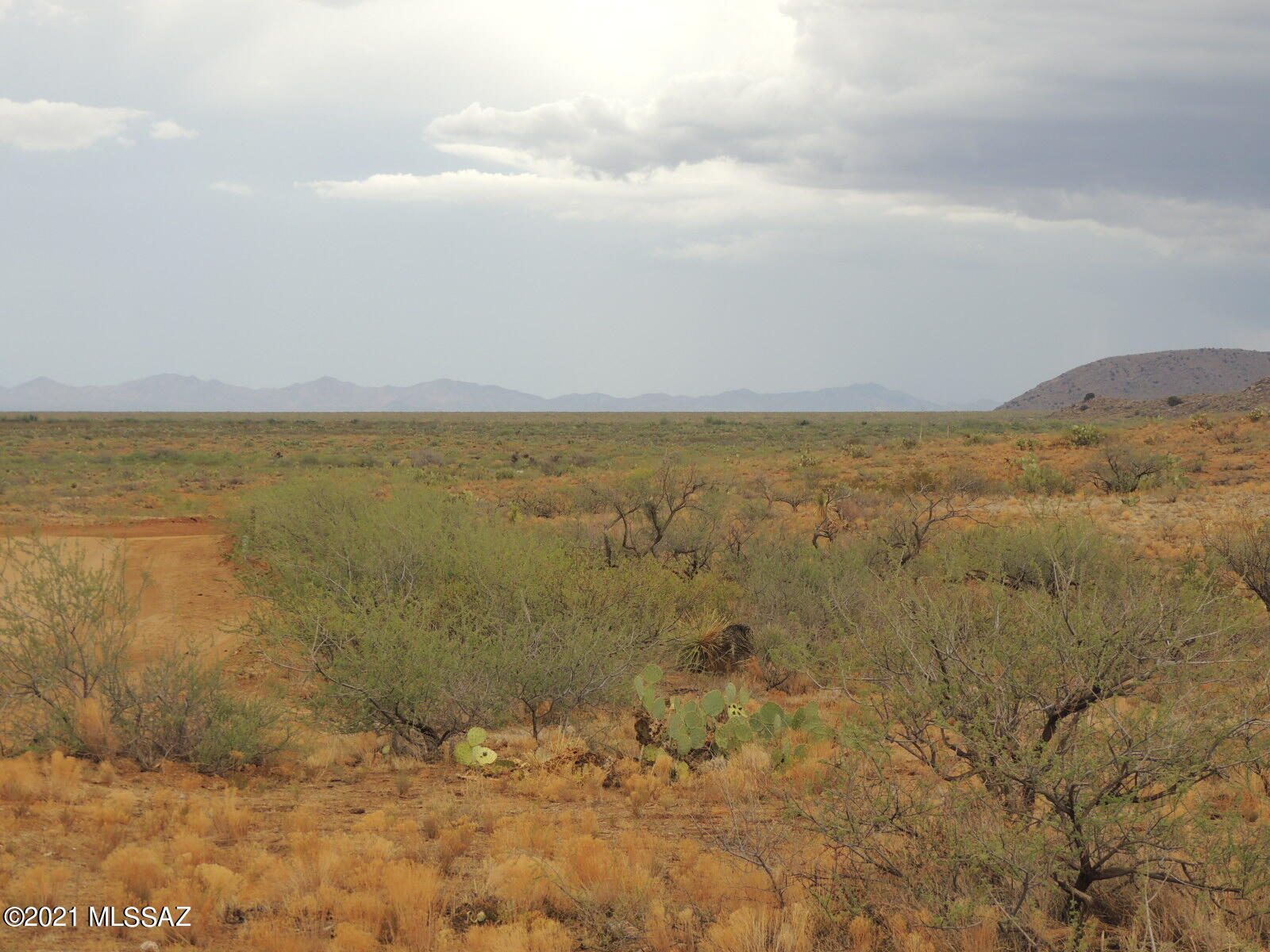 Out Of Pima County - Land