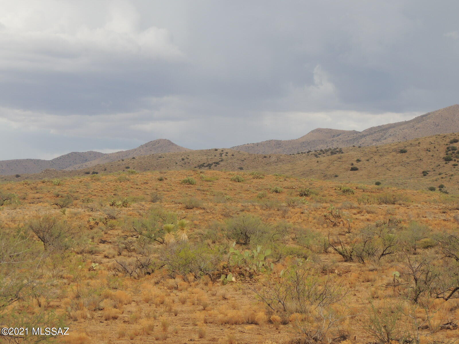 Out Of Pima County - Land