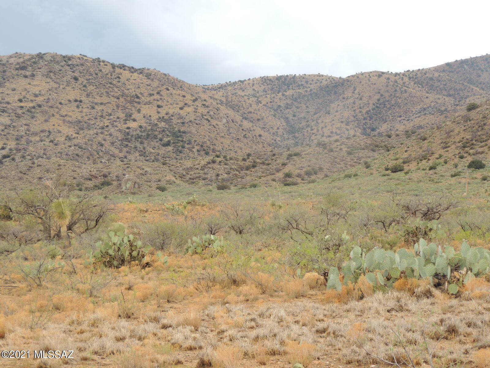 Out Of Pima County - Land