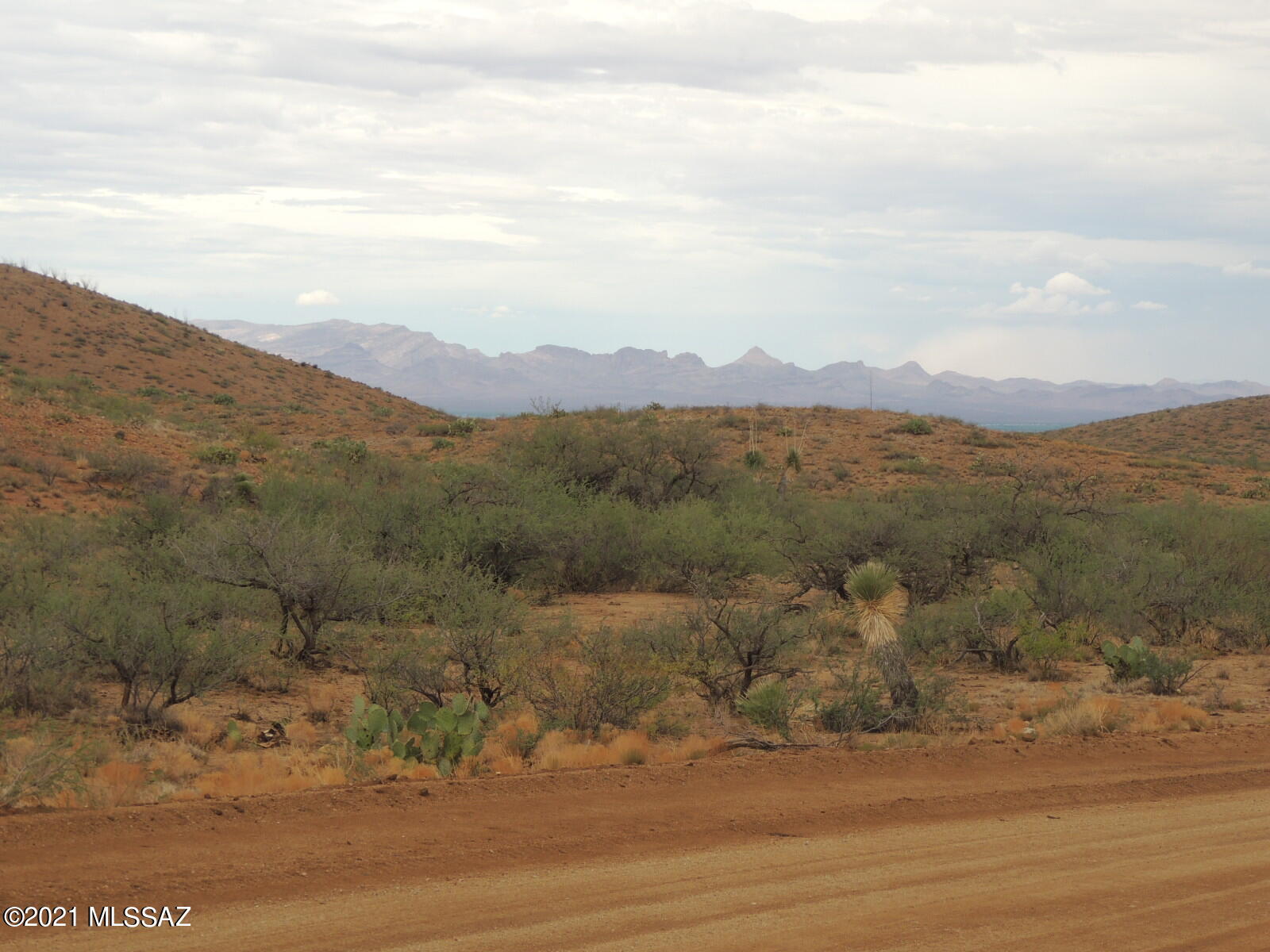 Out Of Pima County - Land