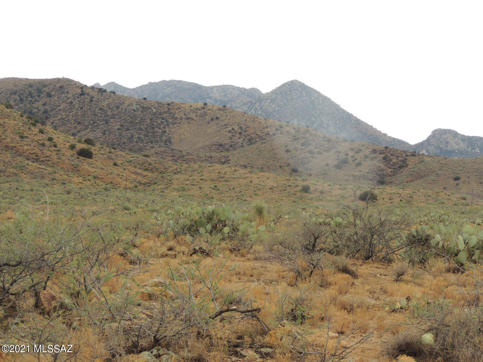 Out Of Pima County - Land