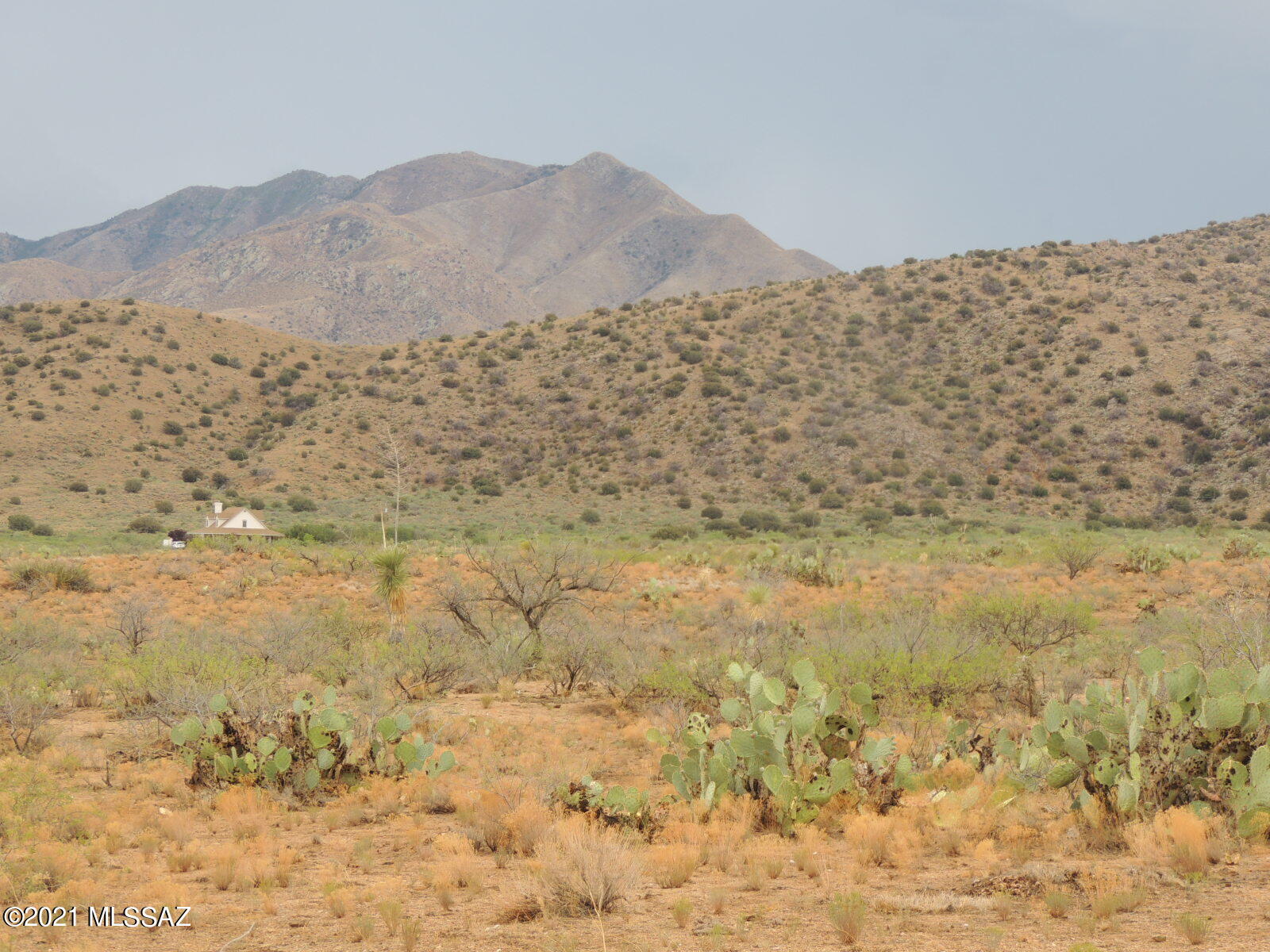 Out Of Pima County - Land