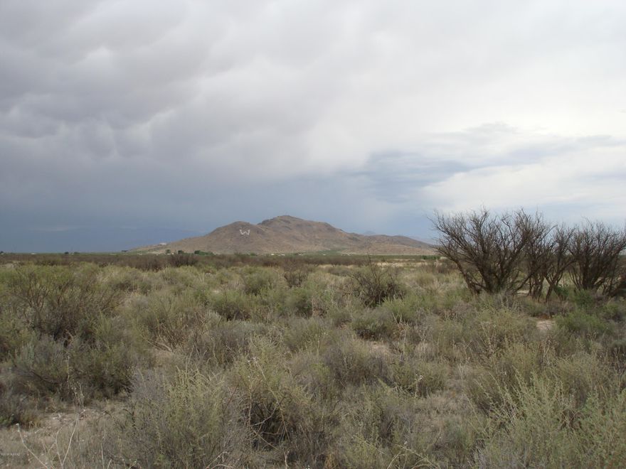 Undeveloped 736 +/- acres of high desert land, ready to be put into production with organic crops, trees, grapes or conventional farming. Also, has future development potential in a nice location close to town on Old Stewart and Circle I Roads. This location is where Willcox is expanding and is only three miles from two interstate I 10 interchanges. It is 90 miles east of Tucson and 200 miles west of El Paso, Texas.
Combined listing includes parcels 202-02-005 and 202-47-003C.
A member of the Willcox 747, LLC is a licensed Real Estate Broker in the state of Arizona.
