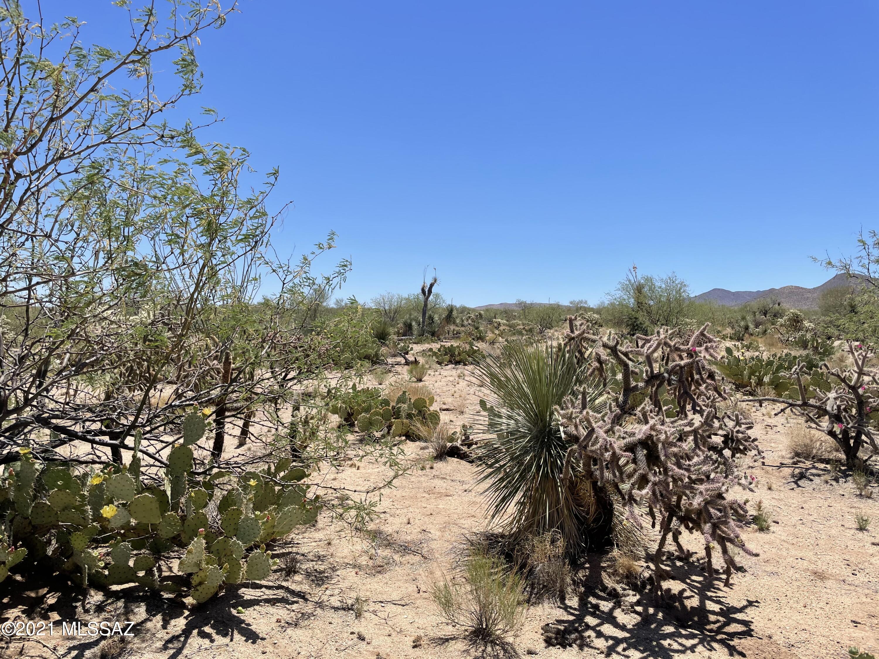 Diamond Bell Ranch - Tucson Unit 3 (1-409) - Land