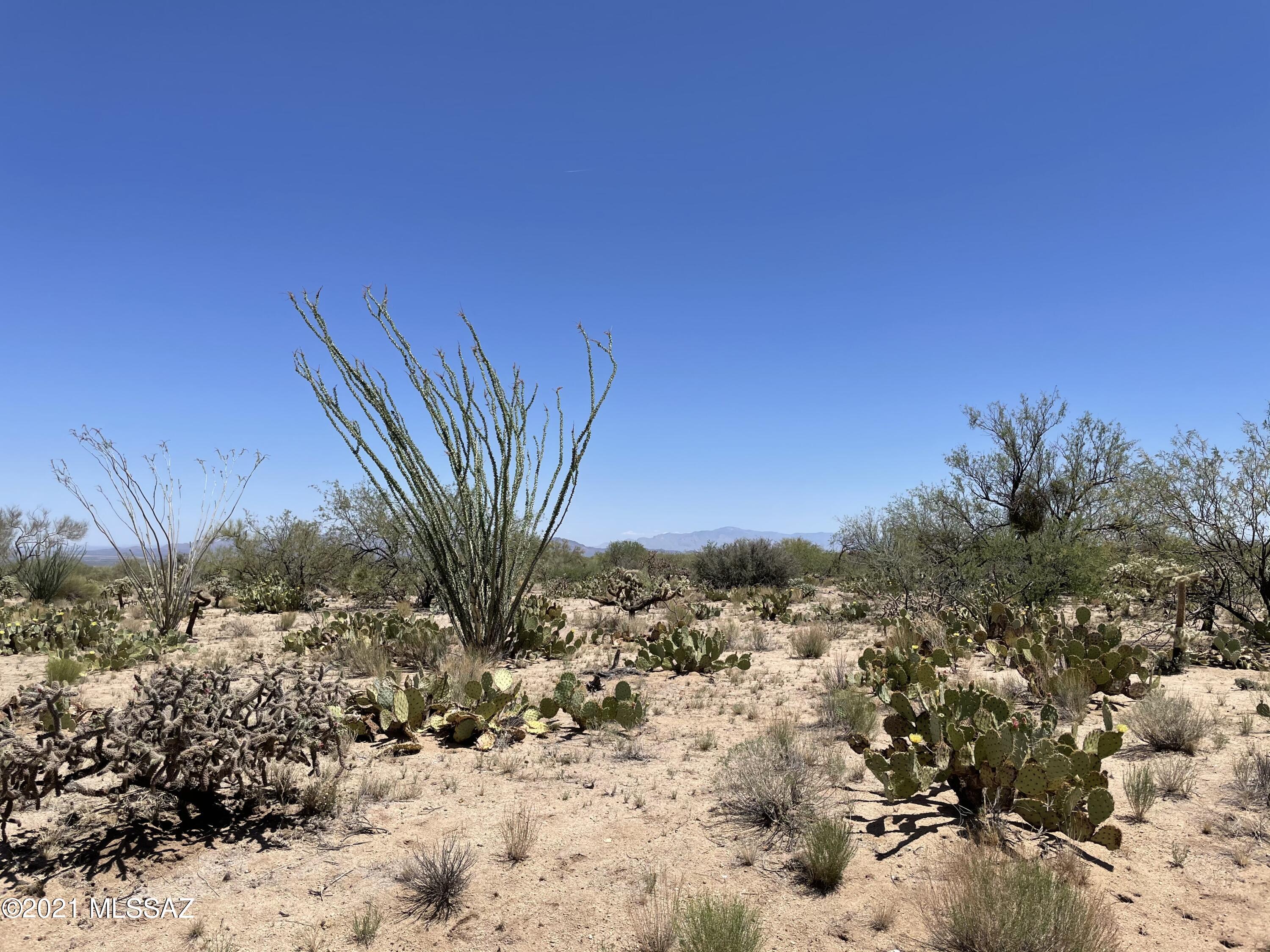 Diamond Bell Ranch - Tucson Unit 3 (1-409) - Land