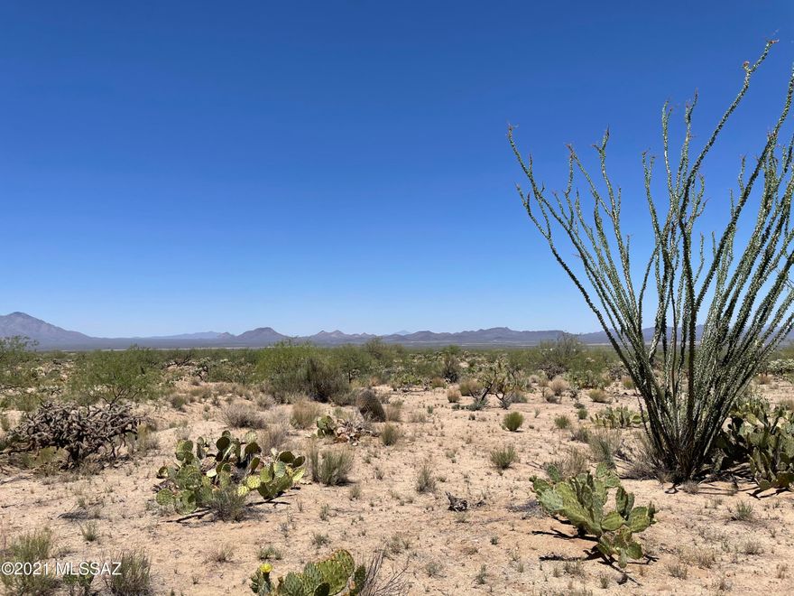 Buildable /flat lots to build your dream home, tiny home, or have for weekend getaways. Wildlife is abundant, javelinas, deer, bird watching. Ride quads, horses or take advantage of hiking to the mountain tops to see forever and watch the sunsets! Priced to sell quick! Will need to bring a power source, and haul water.Can be sold with adjacent lot 355 13841 Harold.Call listing agent with any questions!