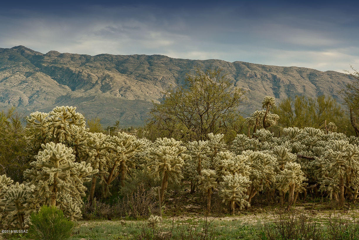 Rancho Soldados - Land