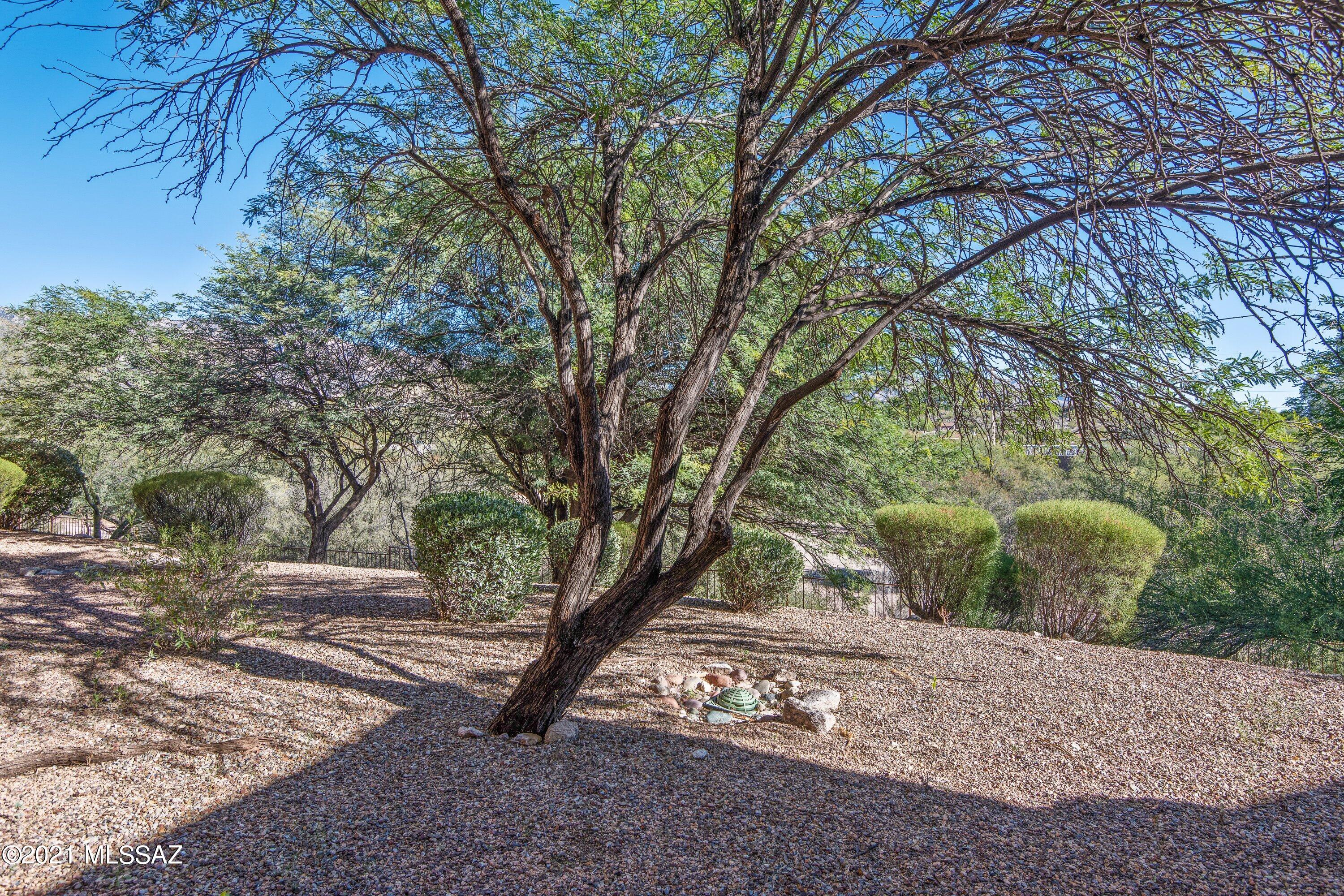 Villas at Sabino Canyon Condominiums - Residential