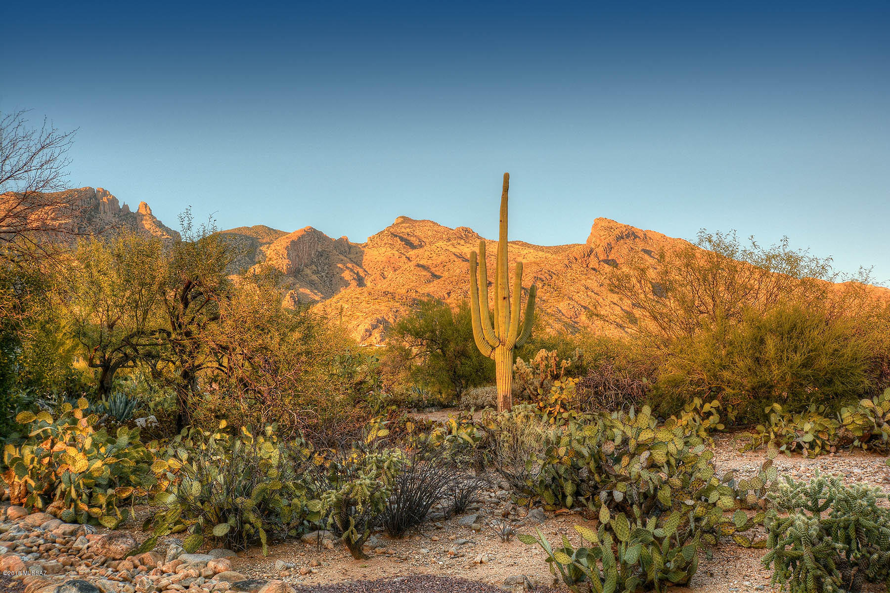 Coronado Foothills Estates - Residential