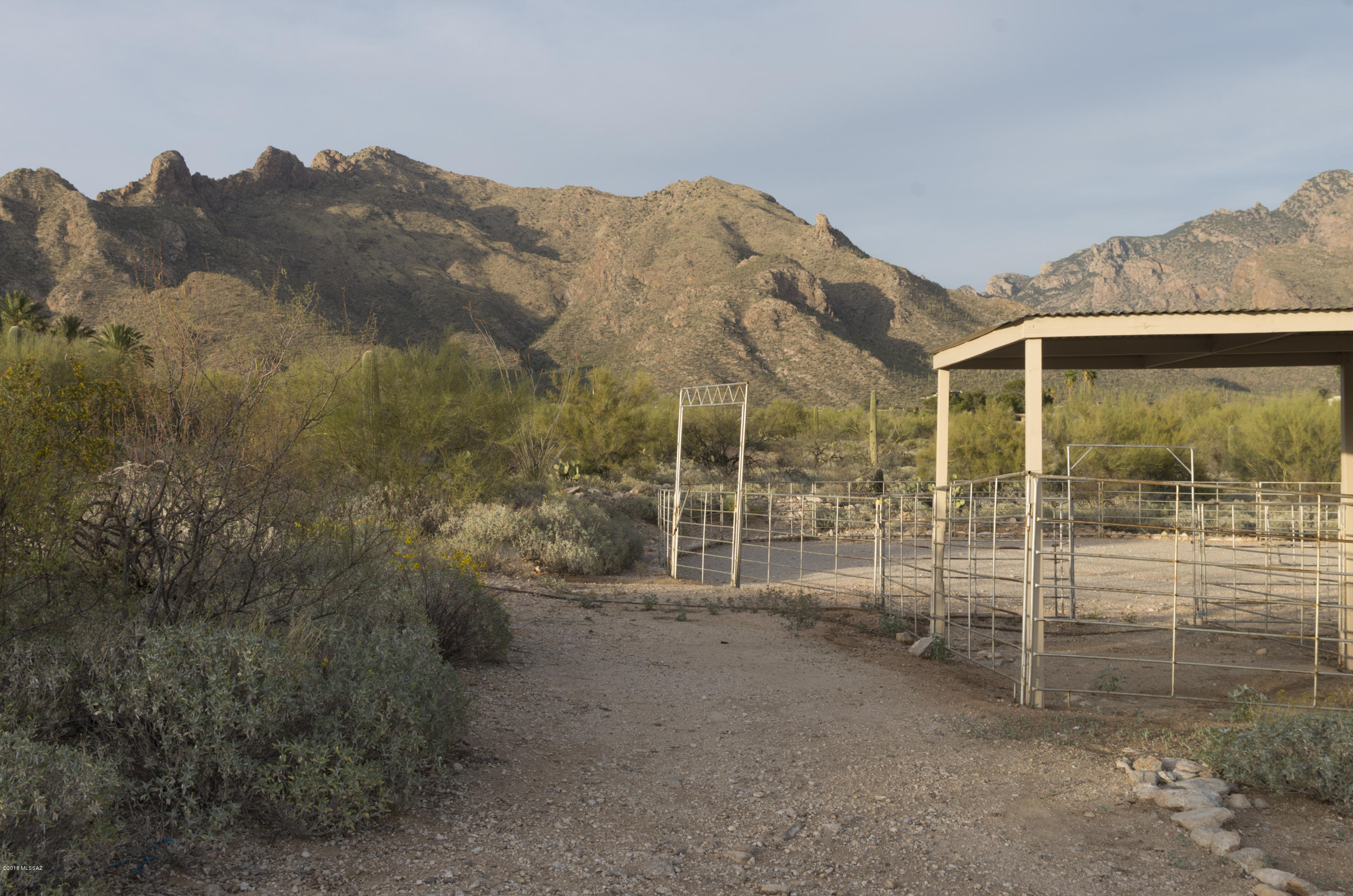 Cobo Catalina Hills (1-51) - Residential